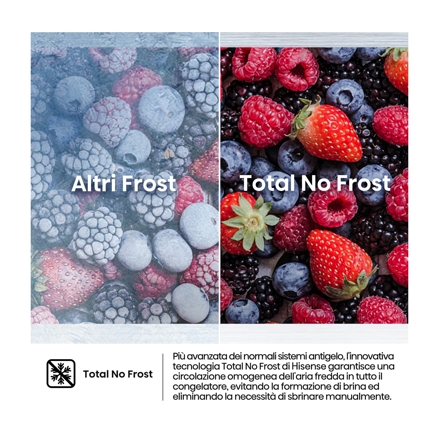 Frutti di bosco congelati, lato sinistro ghiacciato, lato destro fresco.