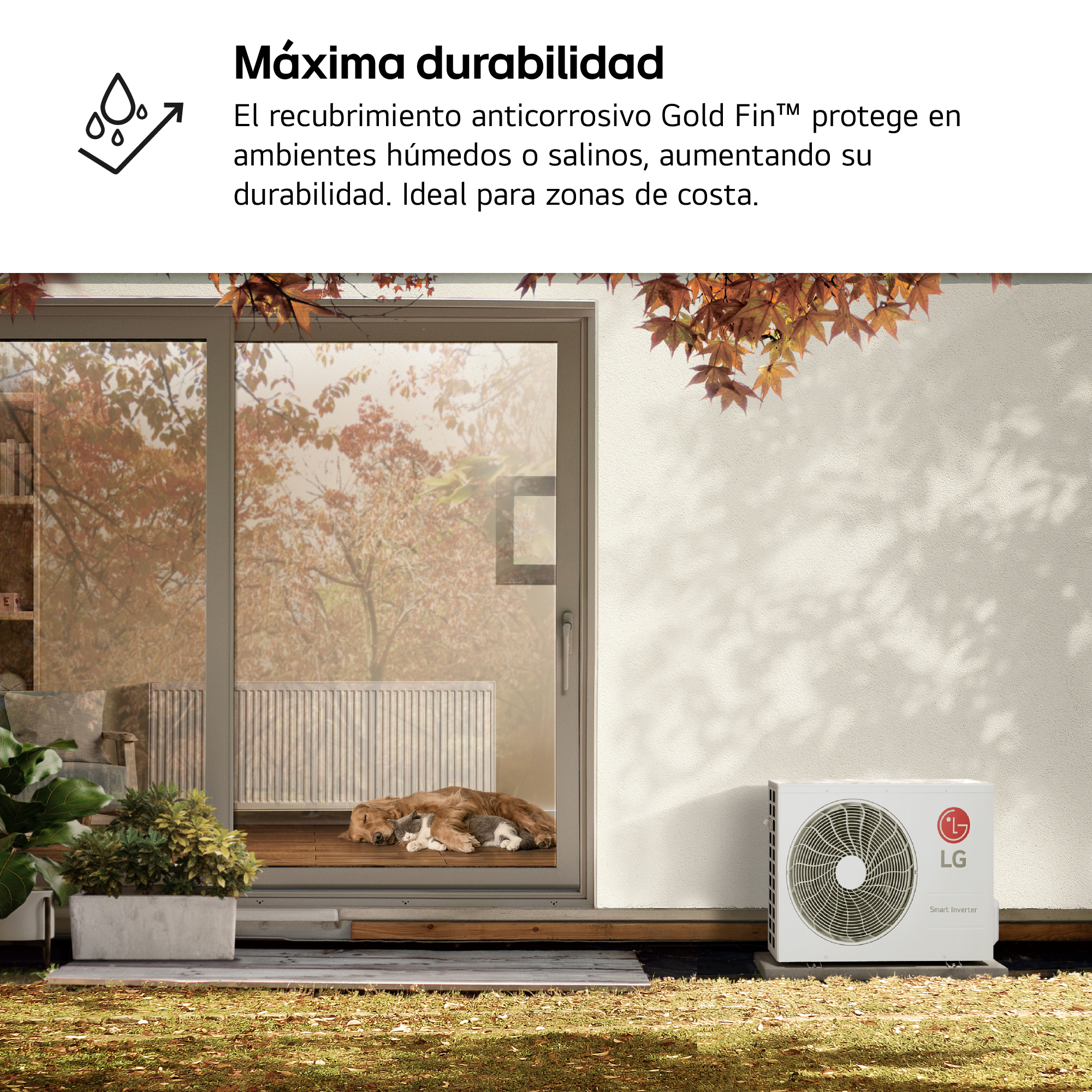Un perro y un gato duermen fuera de una casa junto a una unidad de aire acondicionado LG.