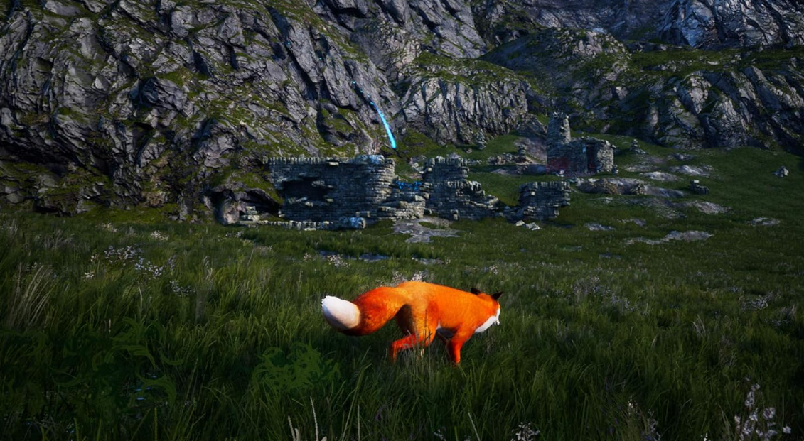 Ein roter Fuchs geht durch ein grasbewachsenes Feld mit Ruinen und einem Berg im Hintergrund.