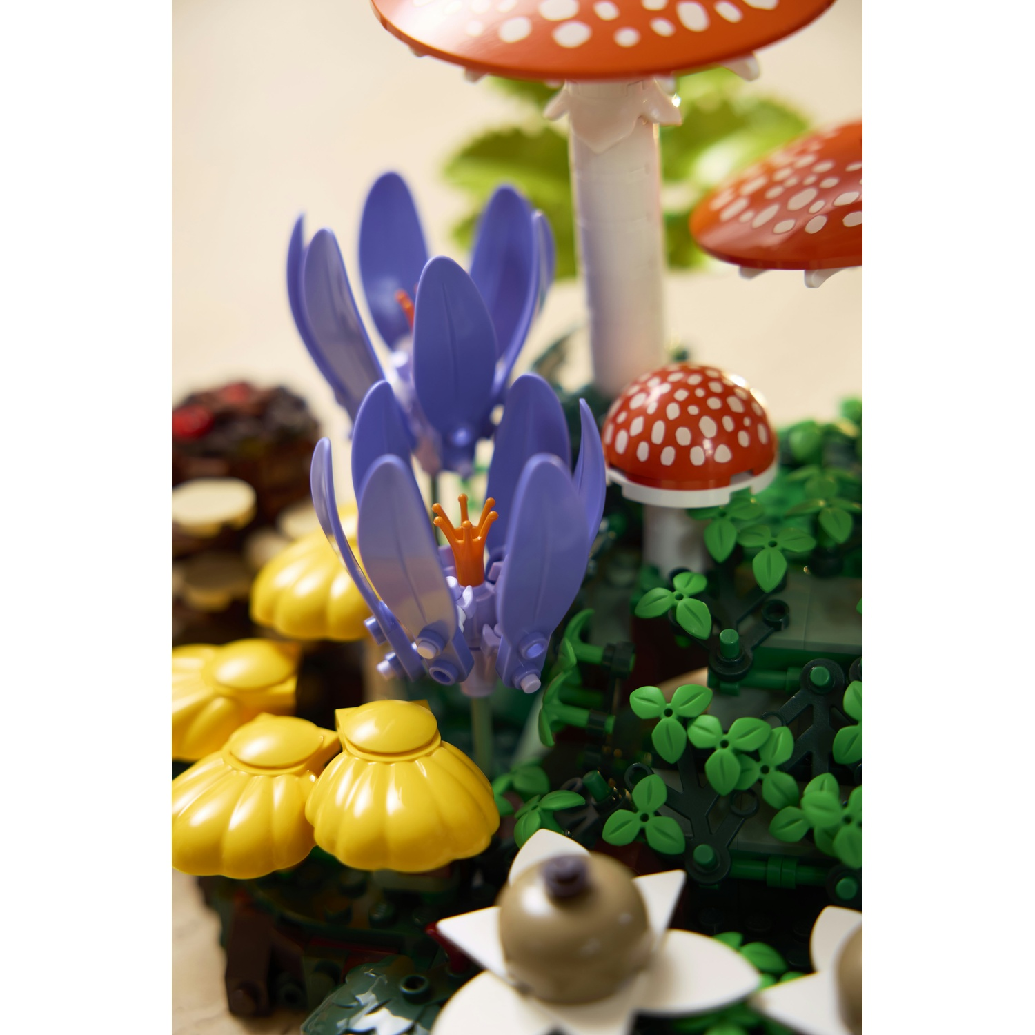 Fiore di croco viola con boccioli gialli e funghi rossi a pois.