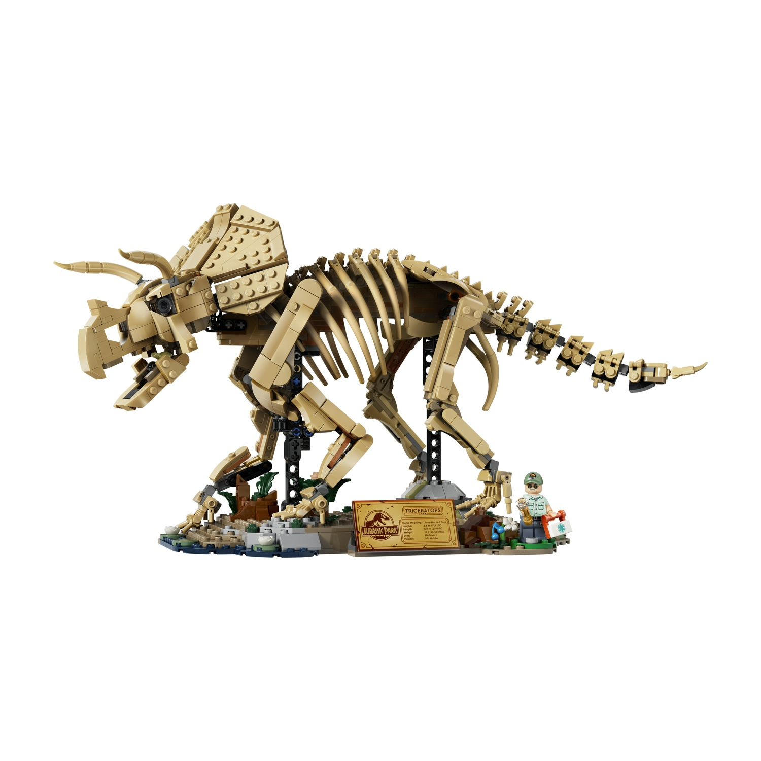Uno scheletro di Triceratops Lego su un diorama con un cartello e una figura.