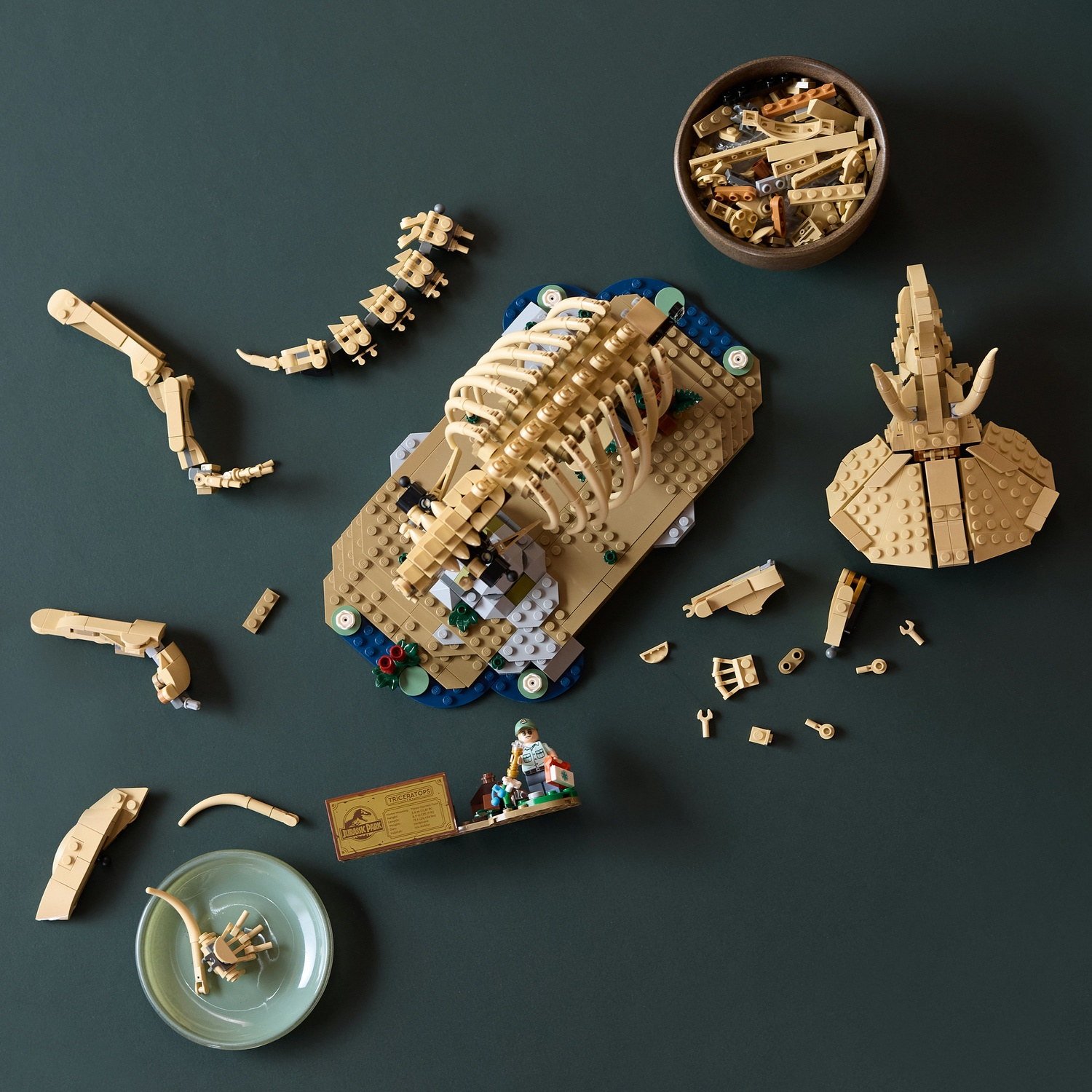 Scheletro di dinosauro Lego con pezzi, ciotola e figura su sfondo verde scuro.