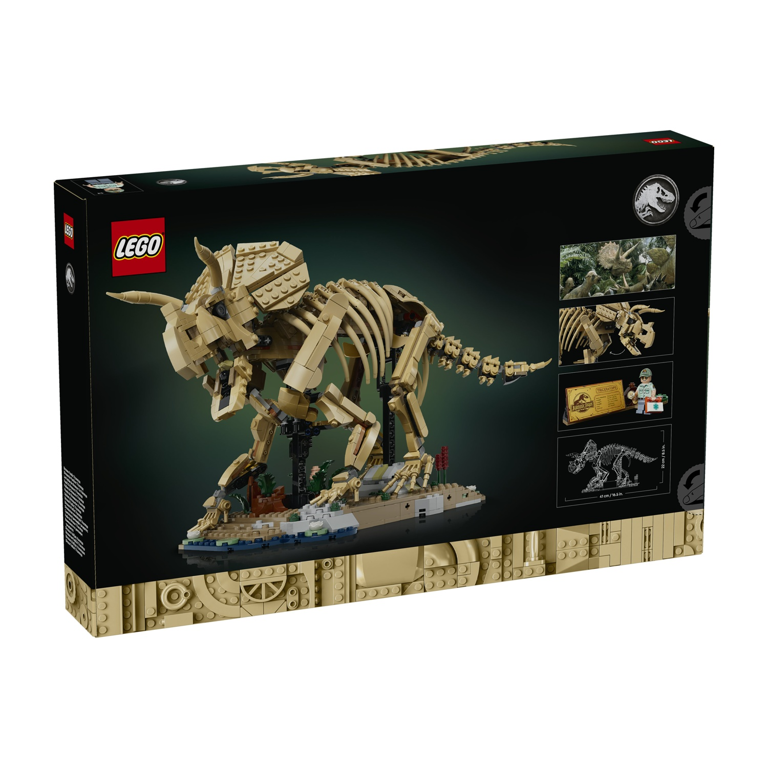 Scatola Lego che mostra un modello di scheletro di Triceratopo color sabbia su una base con piccole figure.