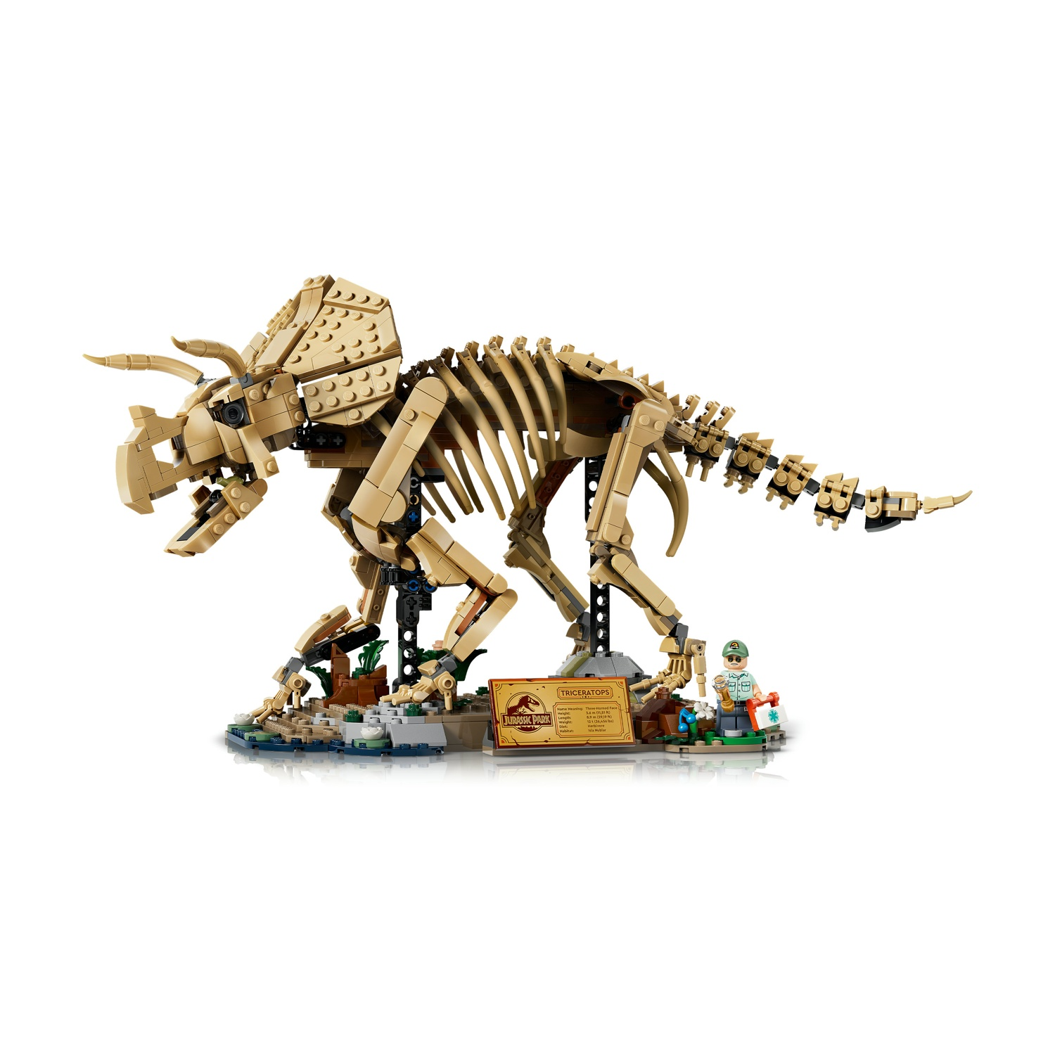 Uno scheletro Lego di Triceratops con un paleontologo e una targa informativa.