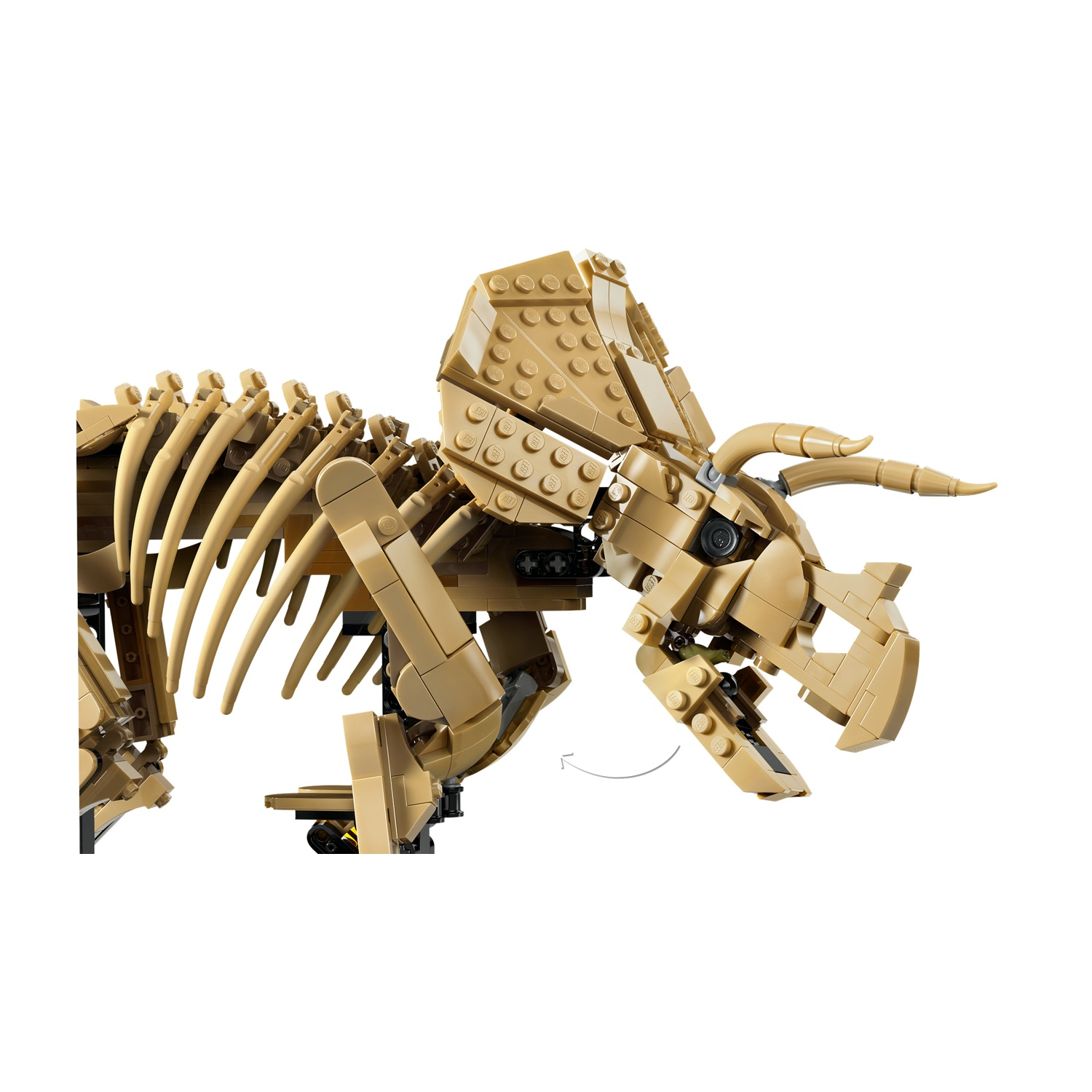 Uno scheletro di dinosauro Lego color camoscio con corna e costole.