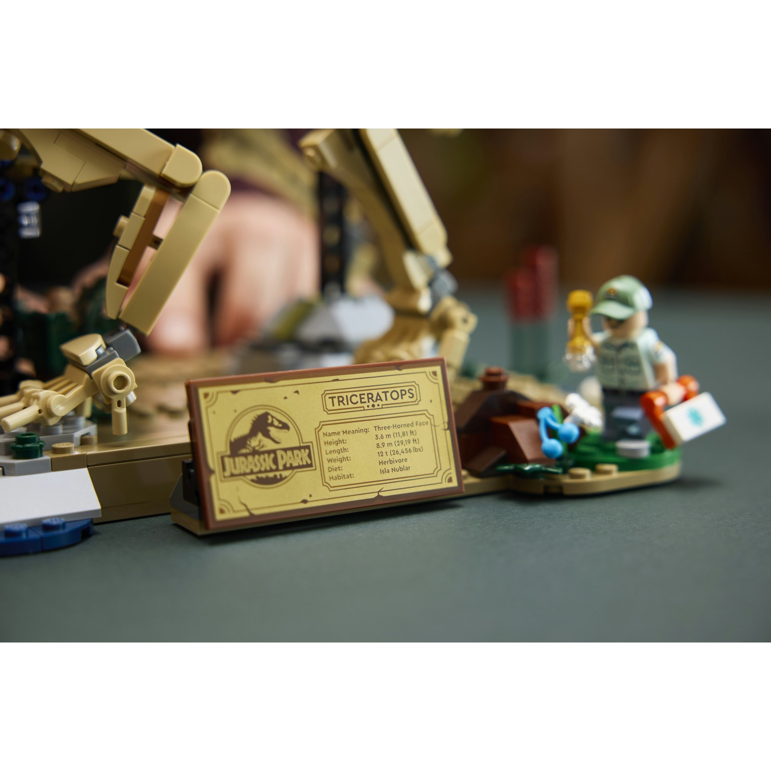 Esposizione Lego Jurassic Park Triceratops con targa informativa e minifigure.
