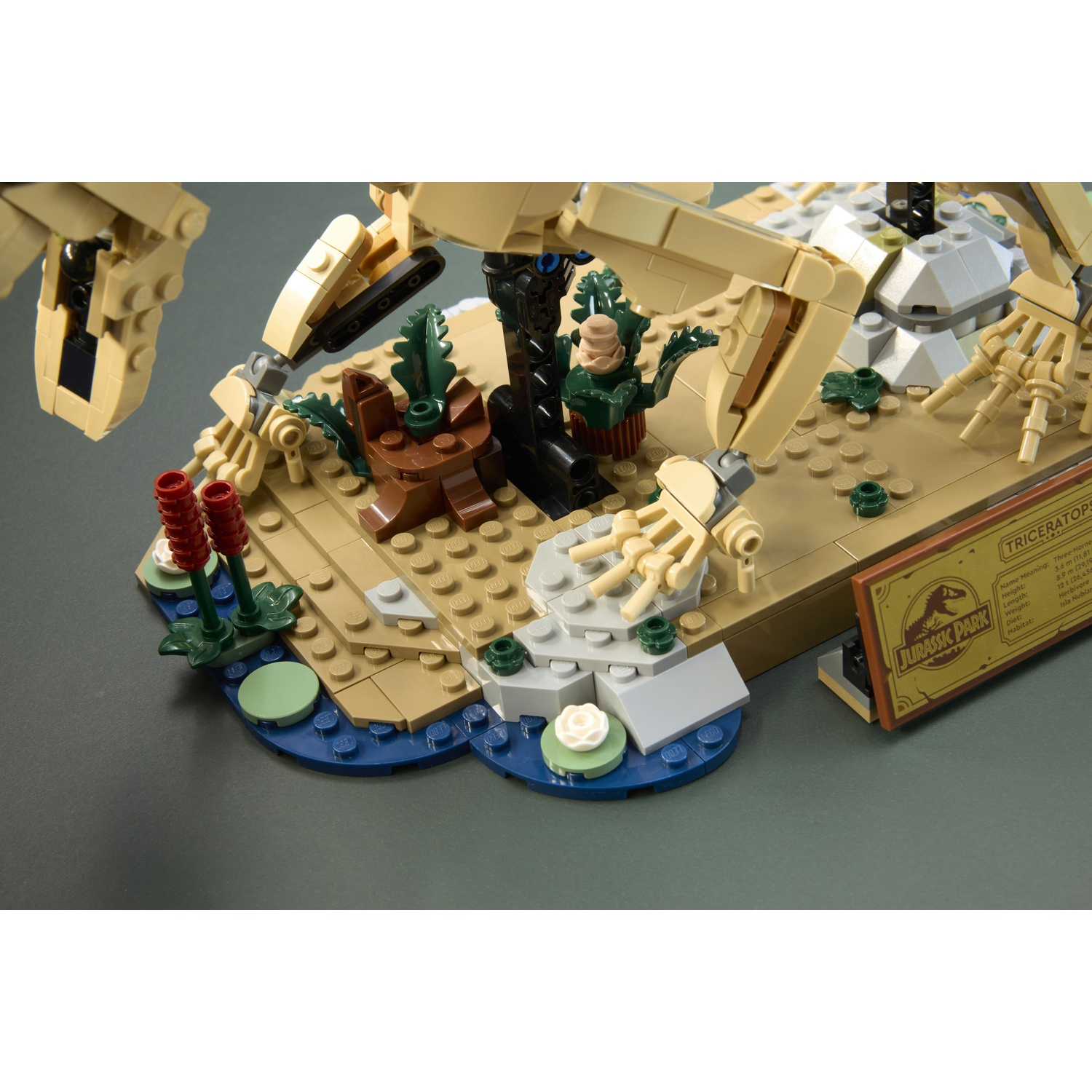 Un modello di scheletro di Triceratopo Lego in un ambiente desertico con piante e un cartello di Jurassic Park.