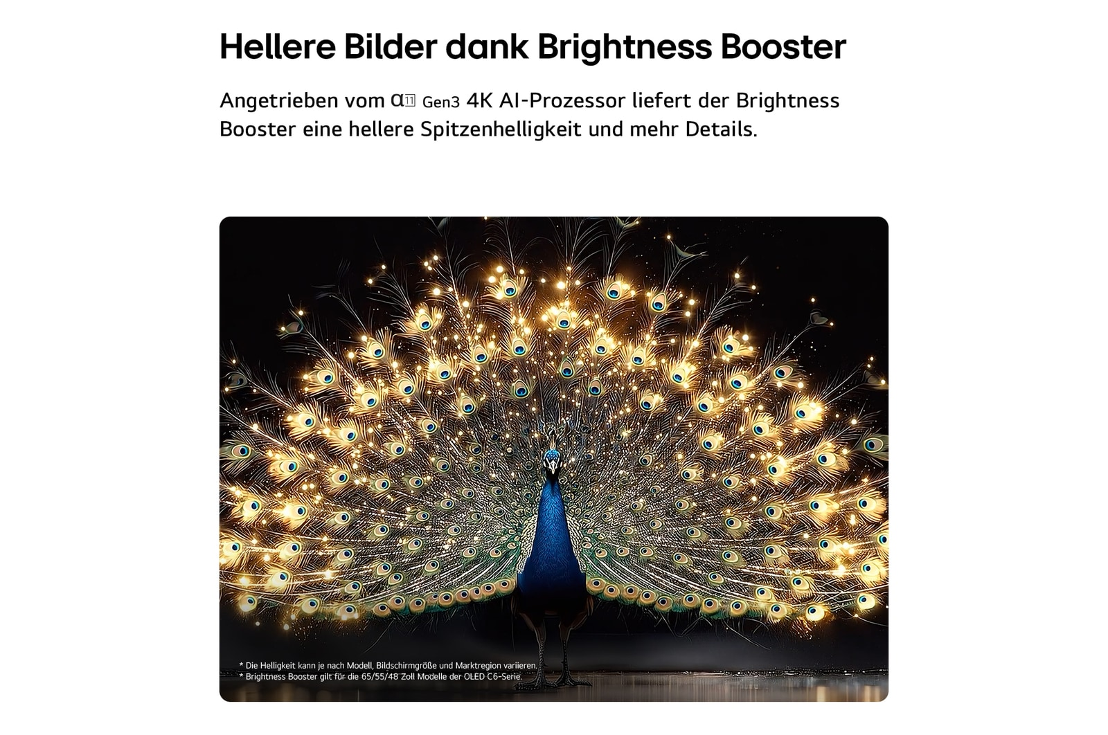 Ein Pfau mit ausgebreiteten, leuchtenden Federn vor schwarzem Hintergrund.