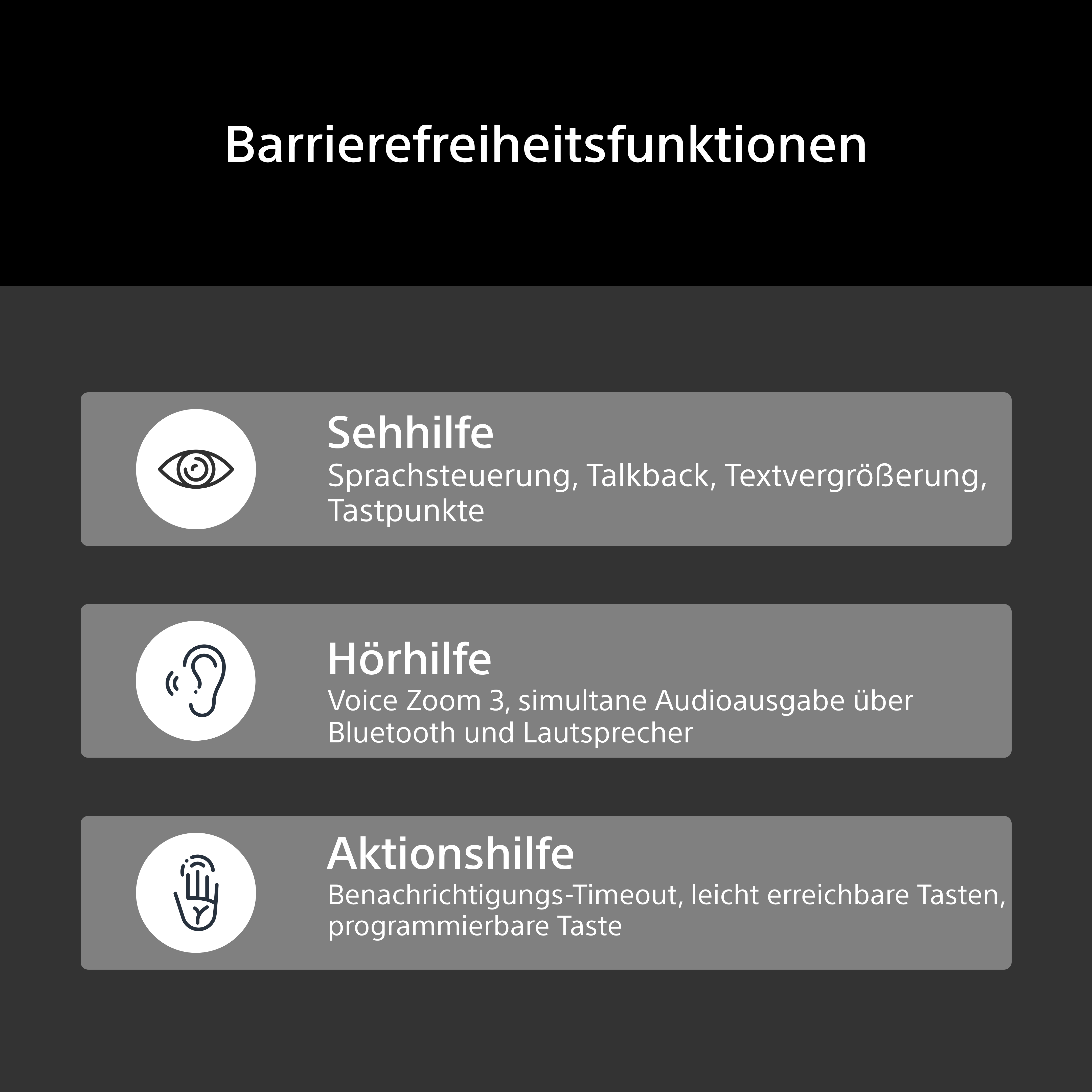 Barrierefreiheitsfunktionen: Sehhilfe, Hörhilfe, Aktionshilfe.