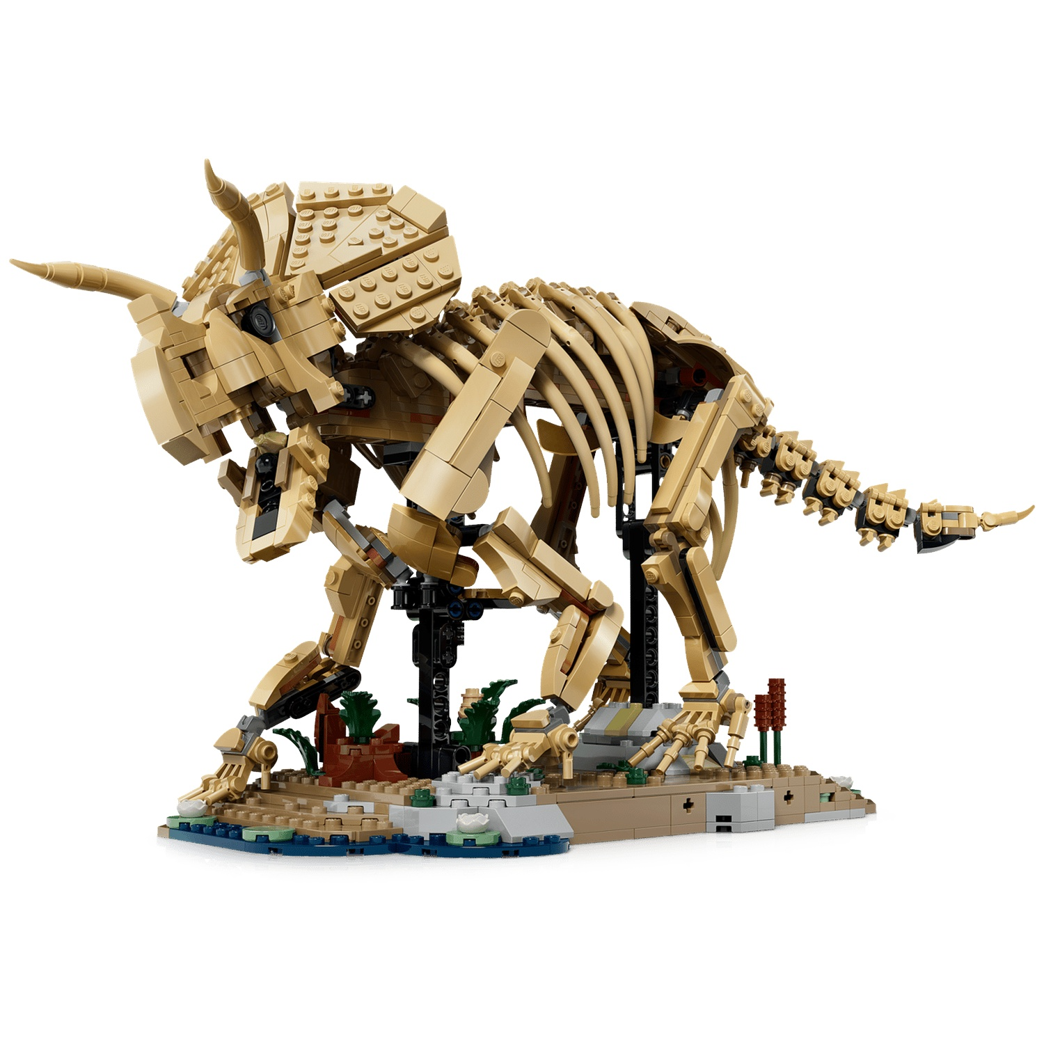 Tan Lego Triceratops skeleton model on a display stand with rocky, watery base.