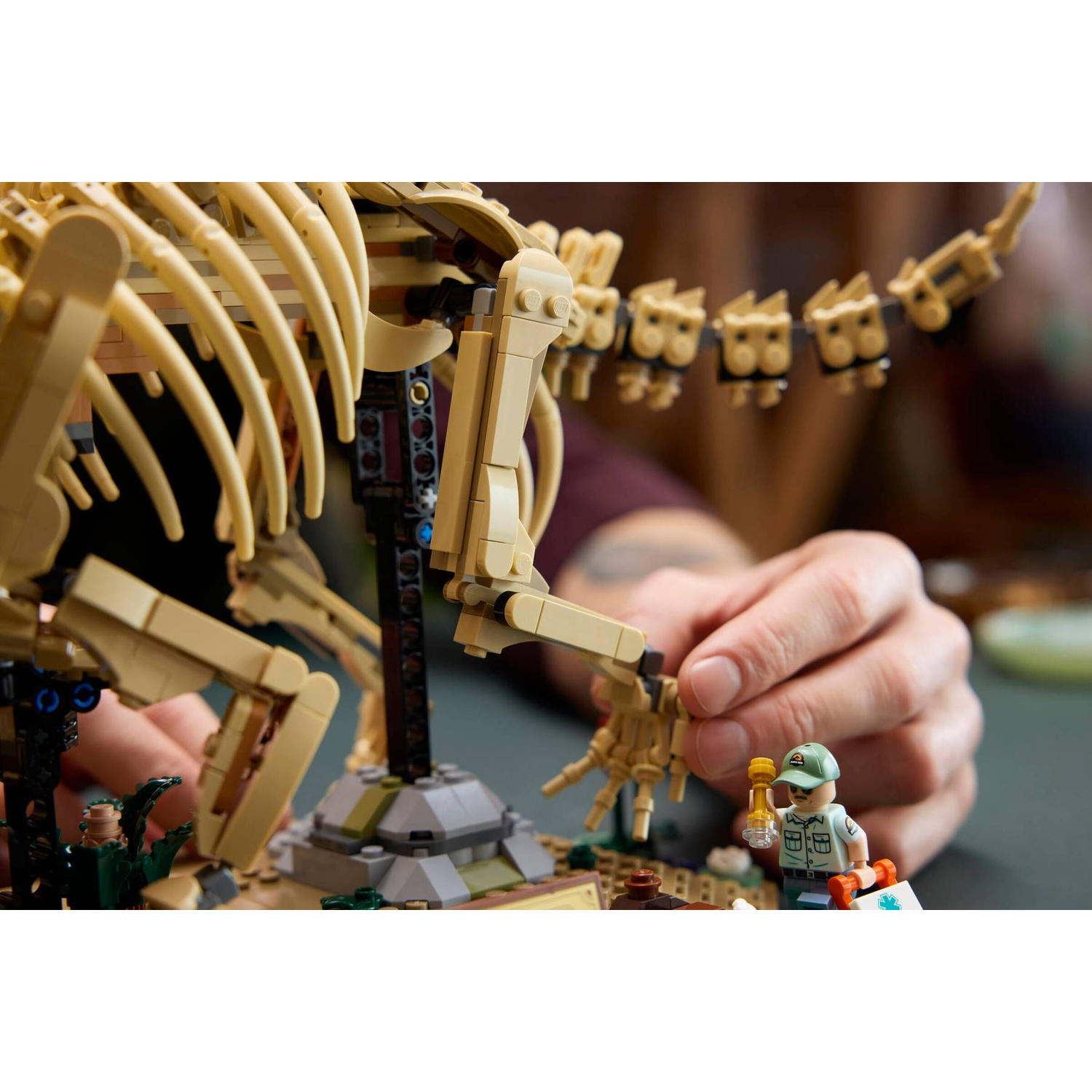Person building LEGO dinosaur skeleton; holding tool and case.