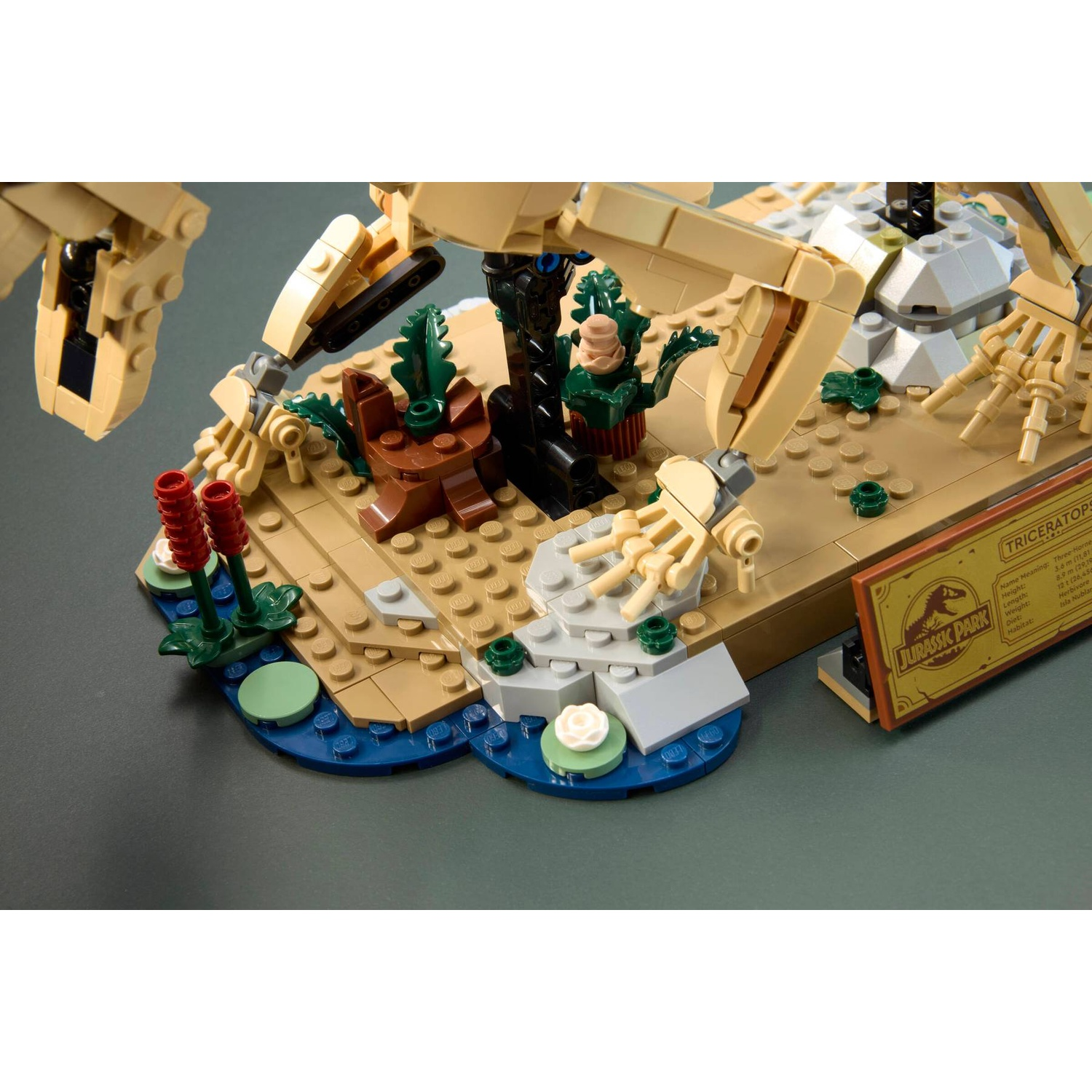 A LEGO diorama of a Triceratops skeleton with plants and a Jurassic Park sign.