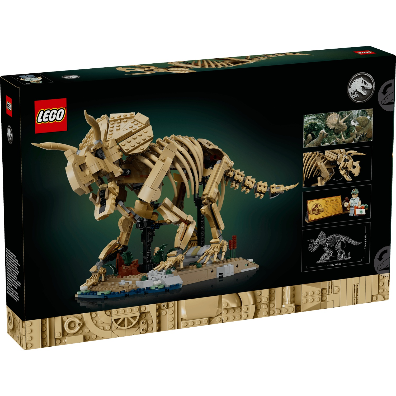 Lego box shows a tan Triceratops skeleton model on a display base with jungle plants.