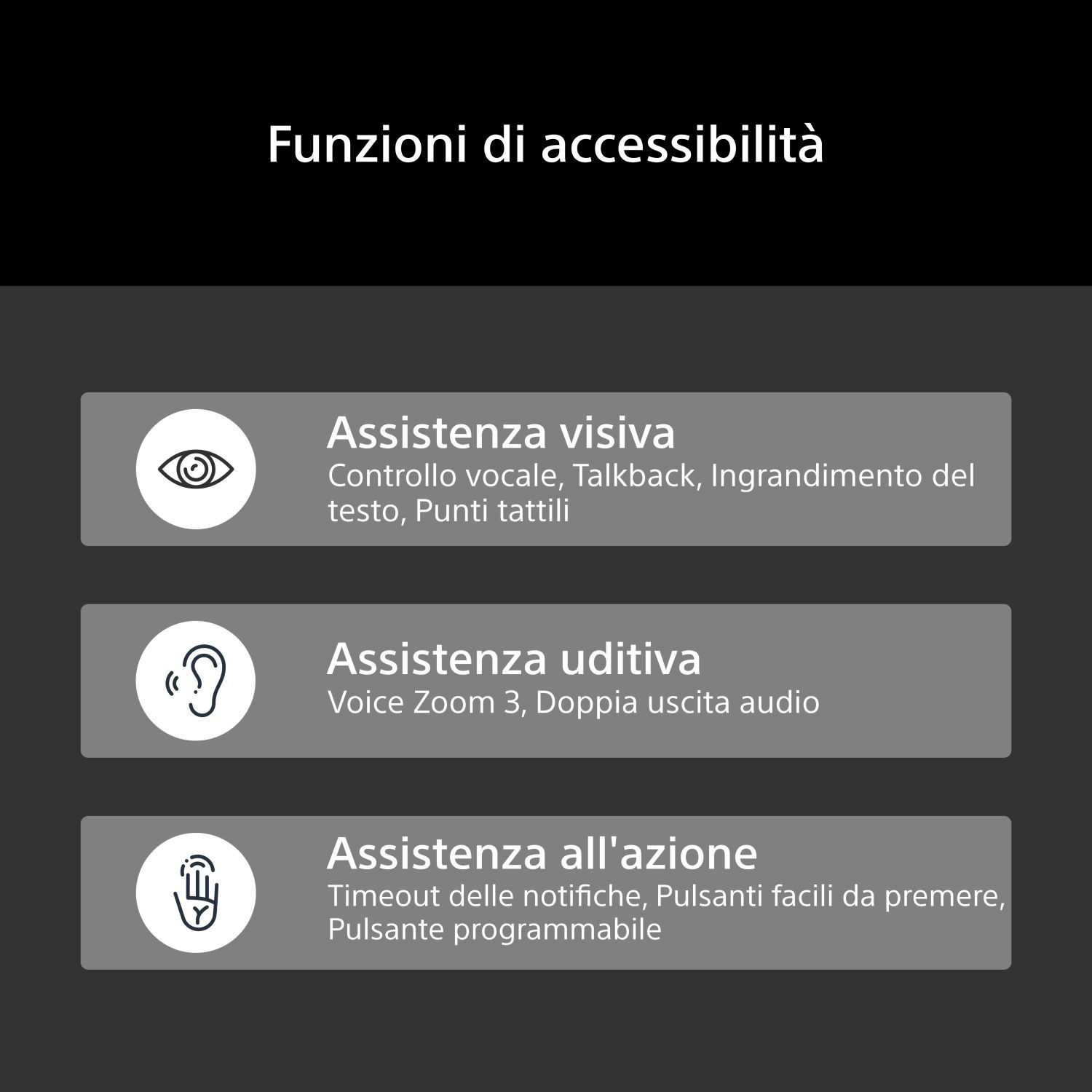 Funzioni di accessibilità: Assistenza visiva, uditiva e legata all'azione.