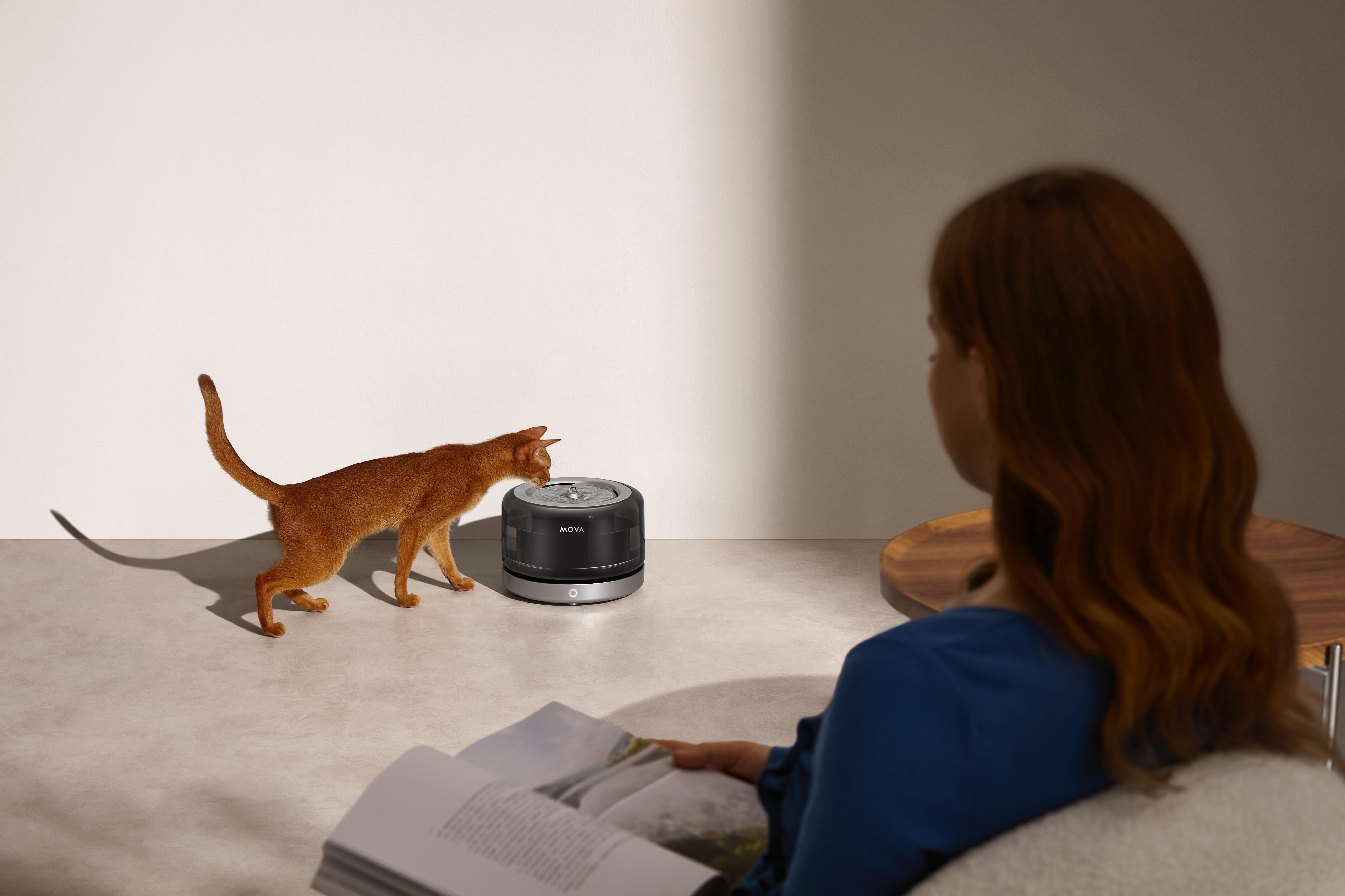 Eine rote Katze trinkt aus einem schwarzen Wasserspender, während eine Frau liest.