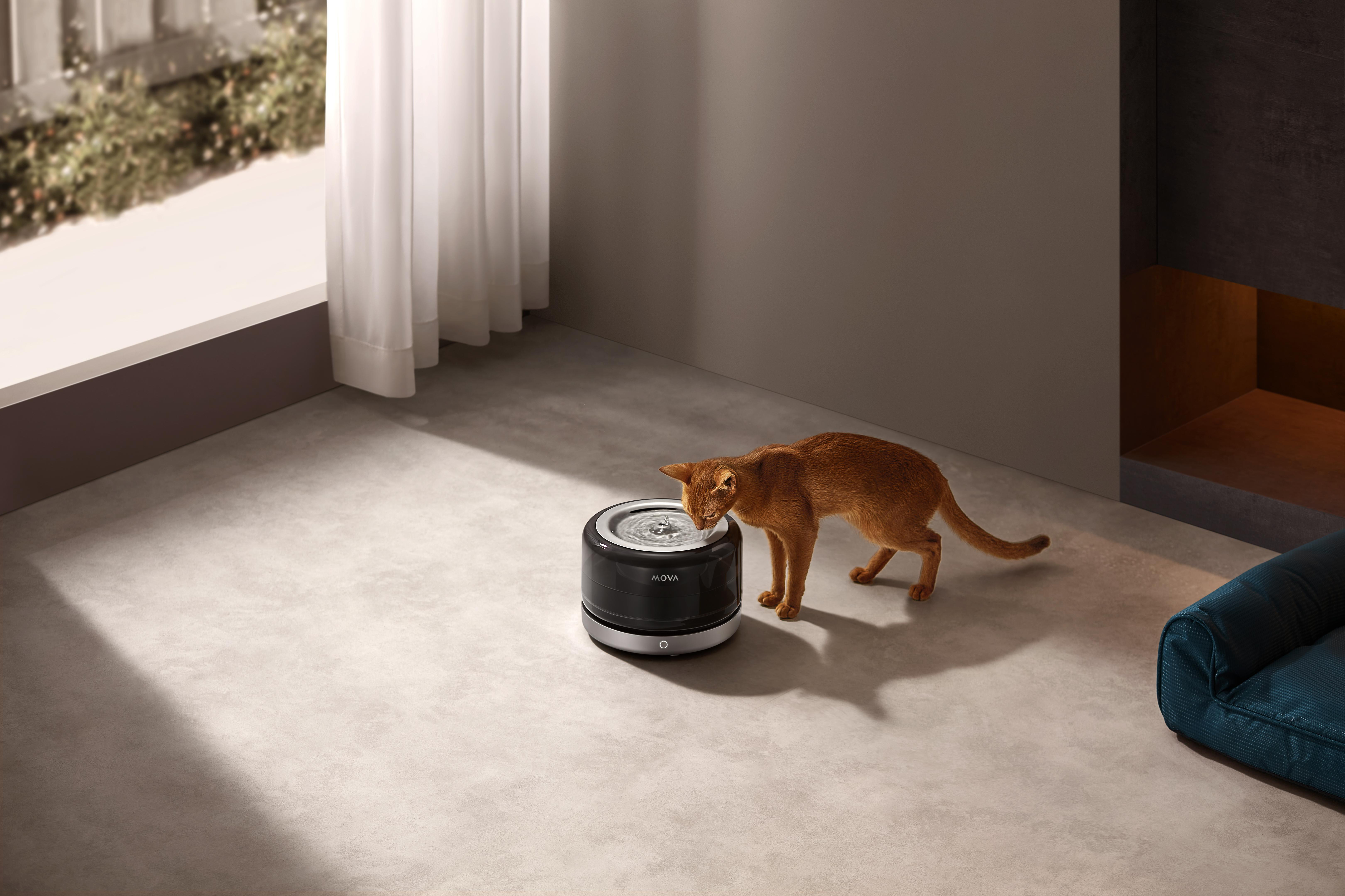 Eine braune Katze trinkt aus einem schwarzen Wasserspender in einem modernen Raum.