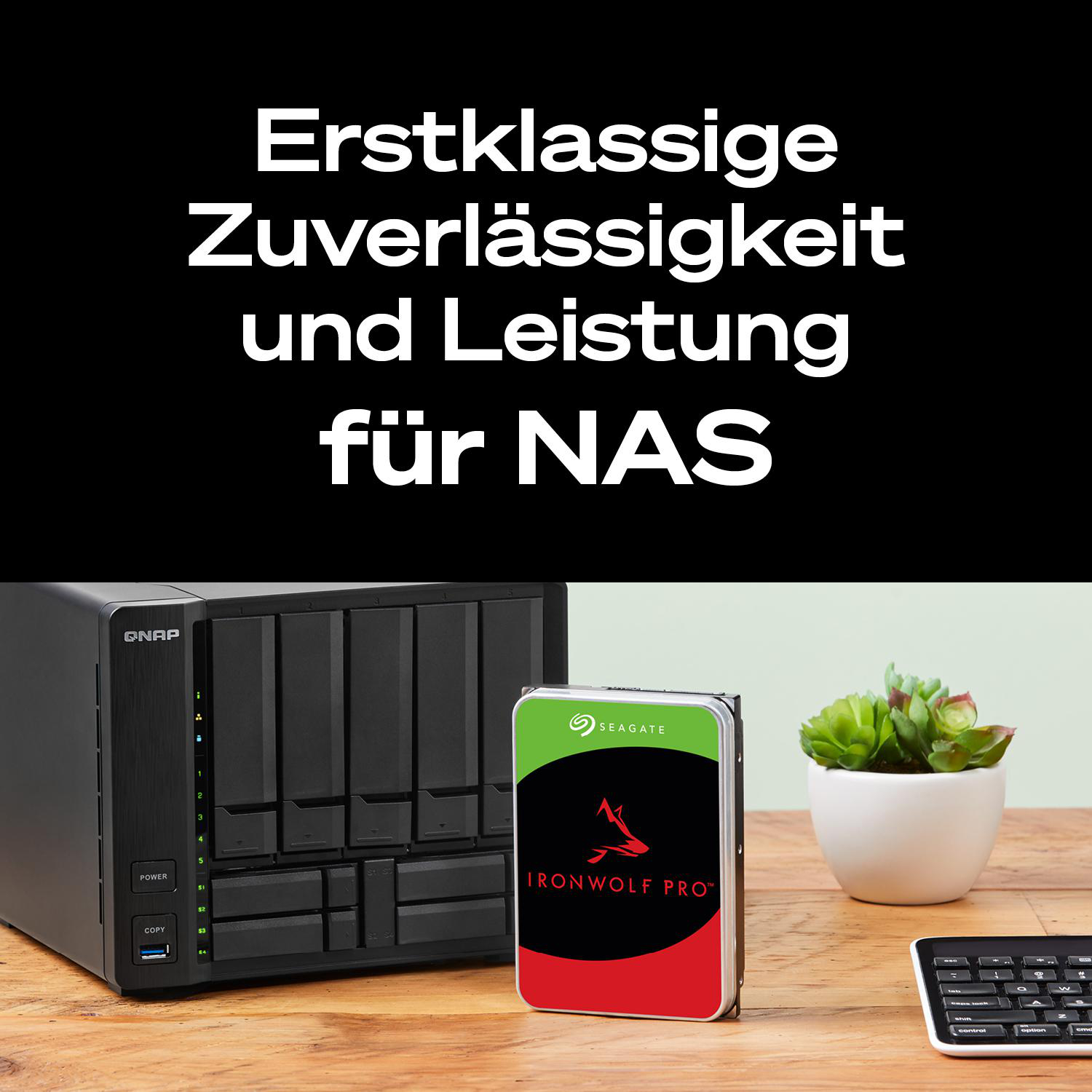 QNAP NAS, Seagate IronWolf Pro Festplatte, Pflanze und Tastatur auf Holztisch.