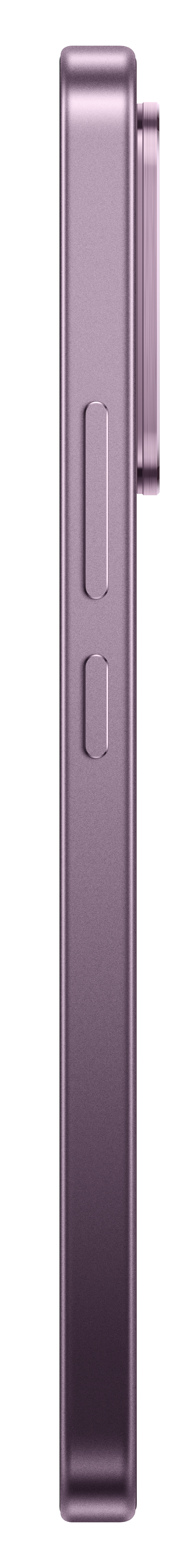 Lila Smartphone-Seite mit zwei Knöpfen und einem Kameramodul.