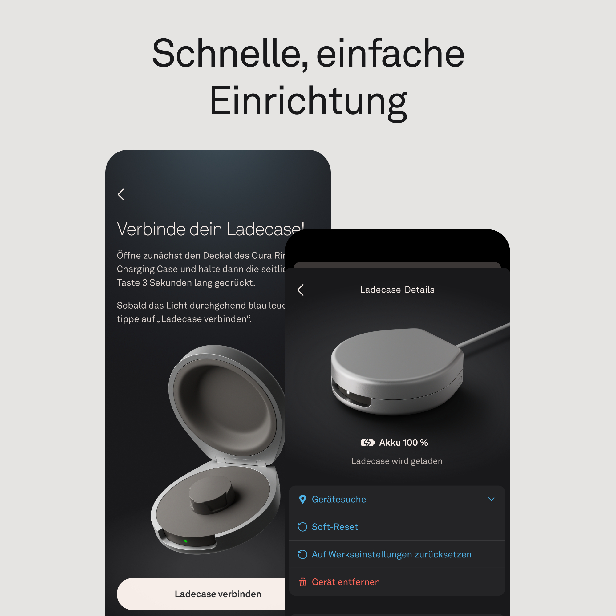 Bildschirm mit Anleitung zum Verbinden eines Ladecase und dessen Details.