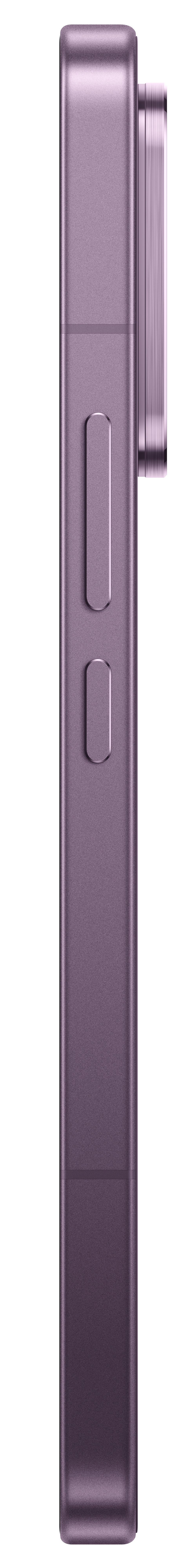 Lila Smartphone-Seite mit zwei Knöpfen und Kameramodul.