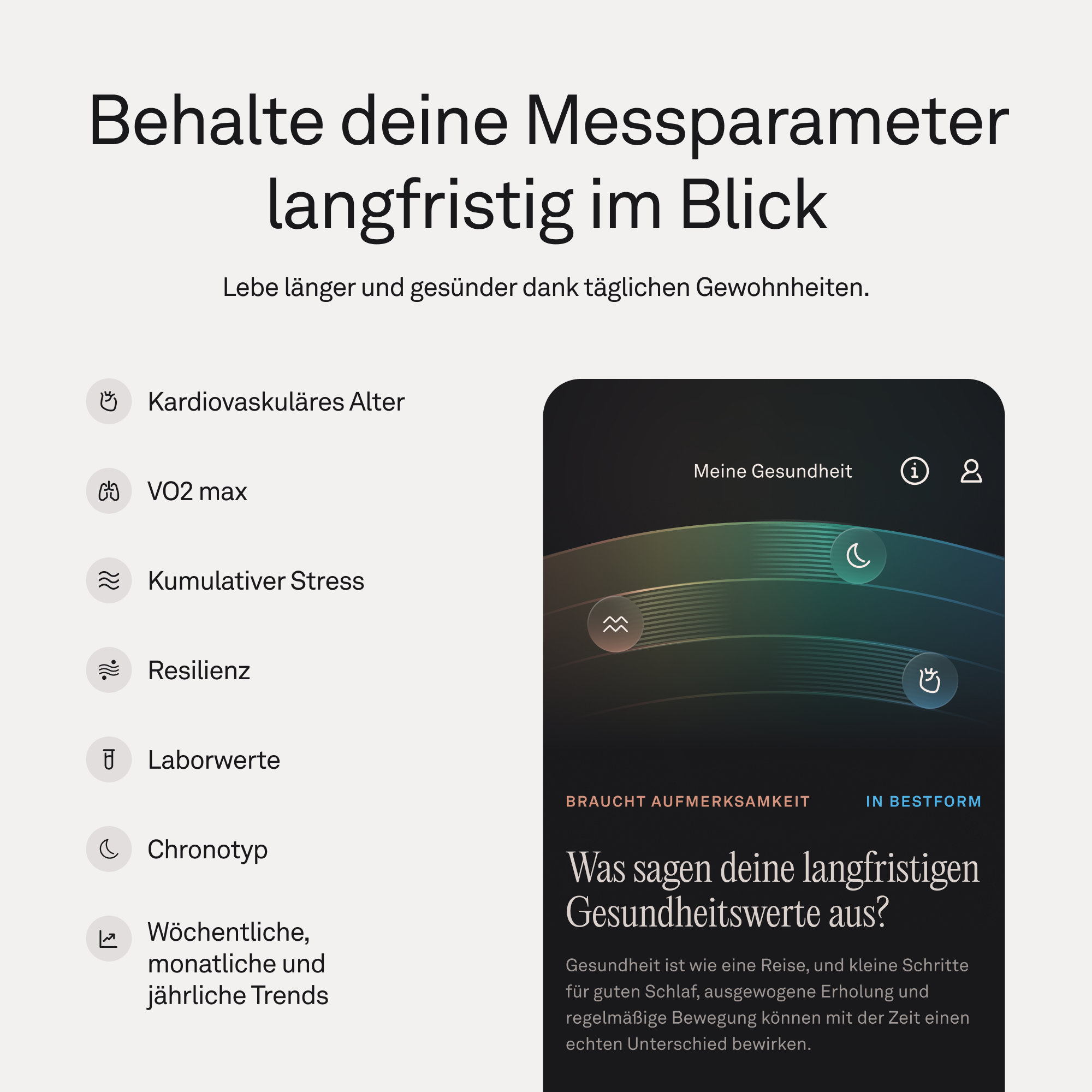 Übersicht über Gesundheitsparameter mit Icons: Herz, Lunge, Wellen, Person.