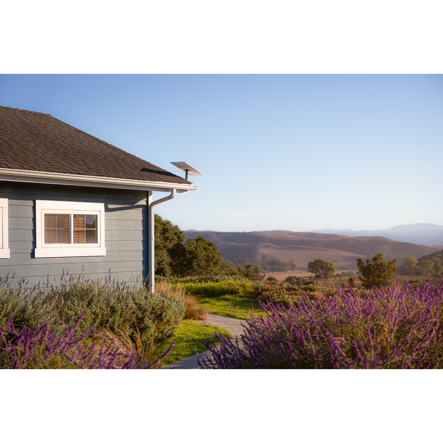 Blauw huis met witte accenten, raam, zonnepaneel op dak en paarse bloemen.