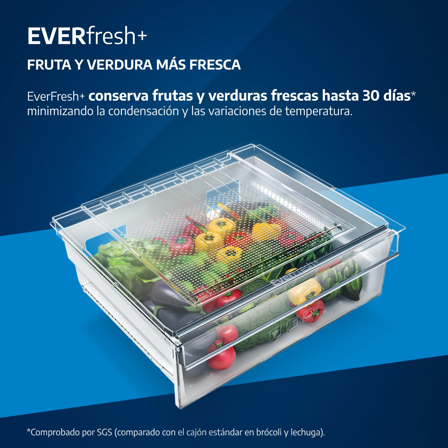 Un contenedor transparente lleno de verduras frescas como lechuga, pimientos, calabacines y berenjenas.
