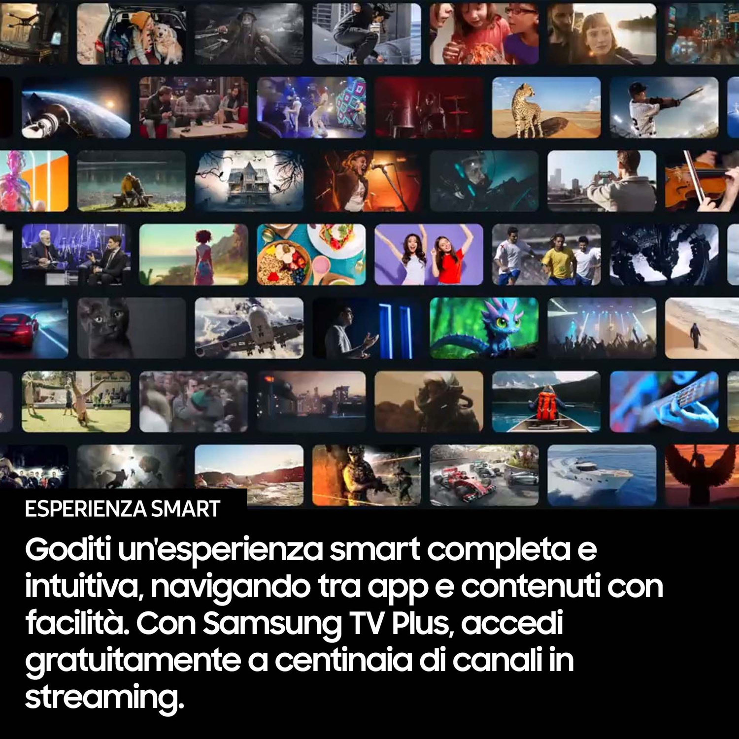Collage di molti programmi TV e film diversi, con testo.