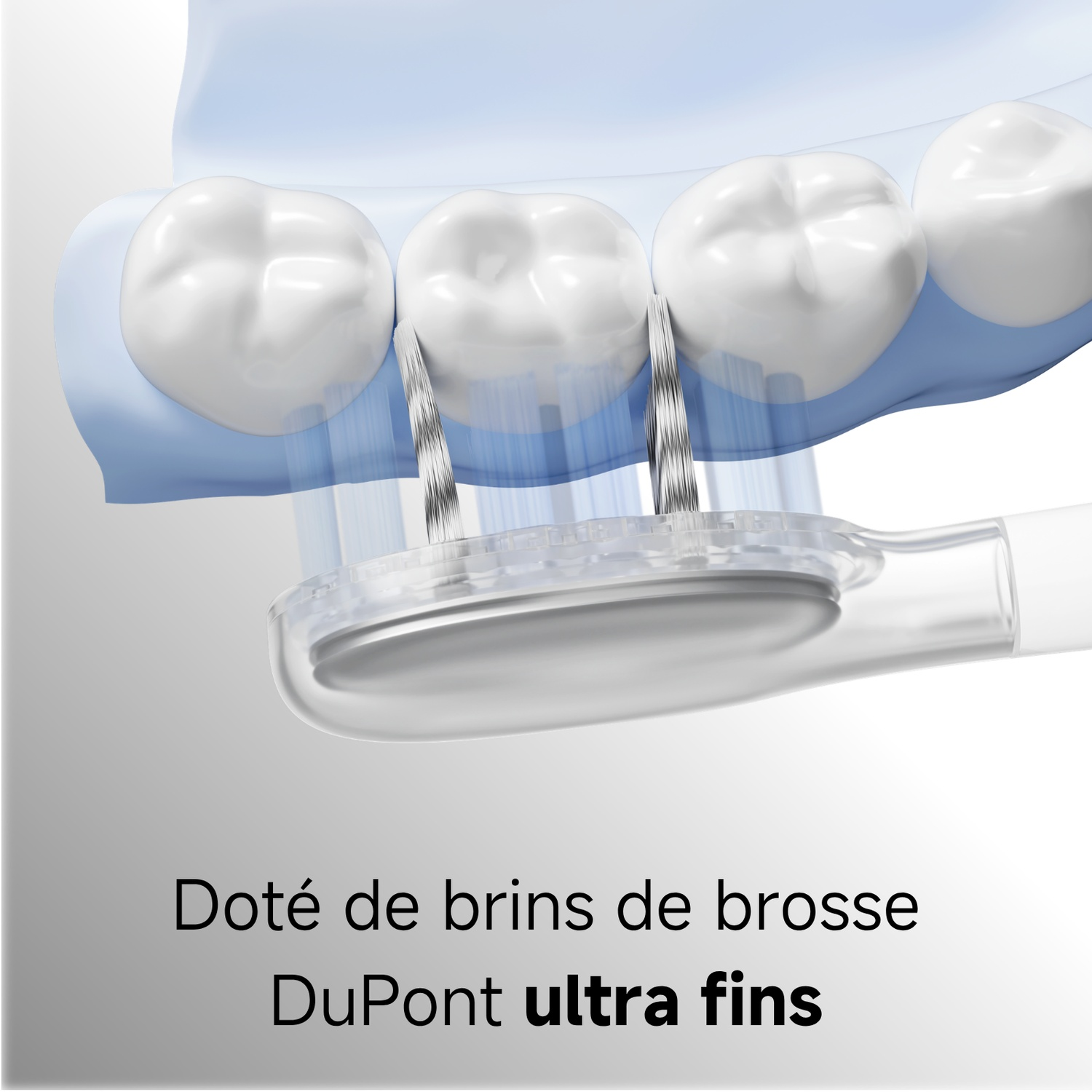 Brosse à dents avec poils DuPont ultrafins nettoyant des dents blanches.