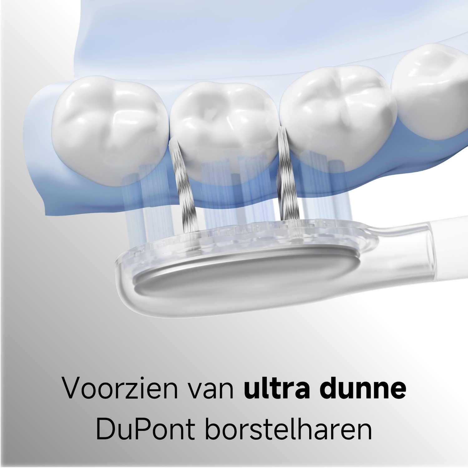 Toothbrush cleans teeth with thin DuPont bristles.