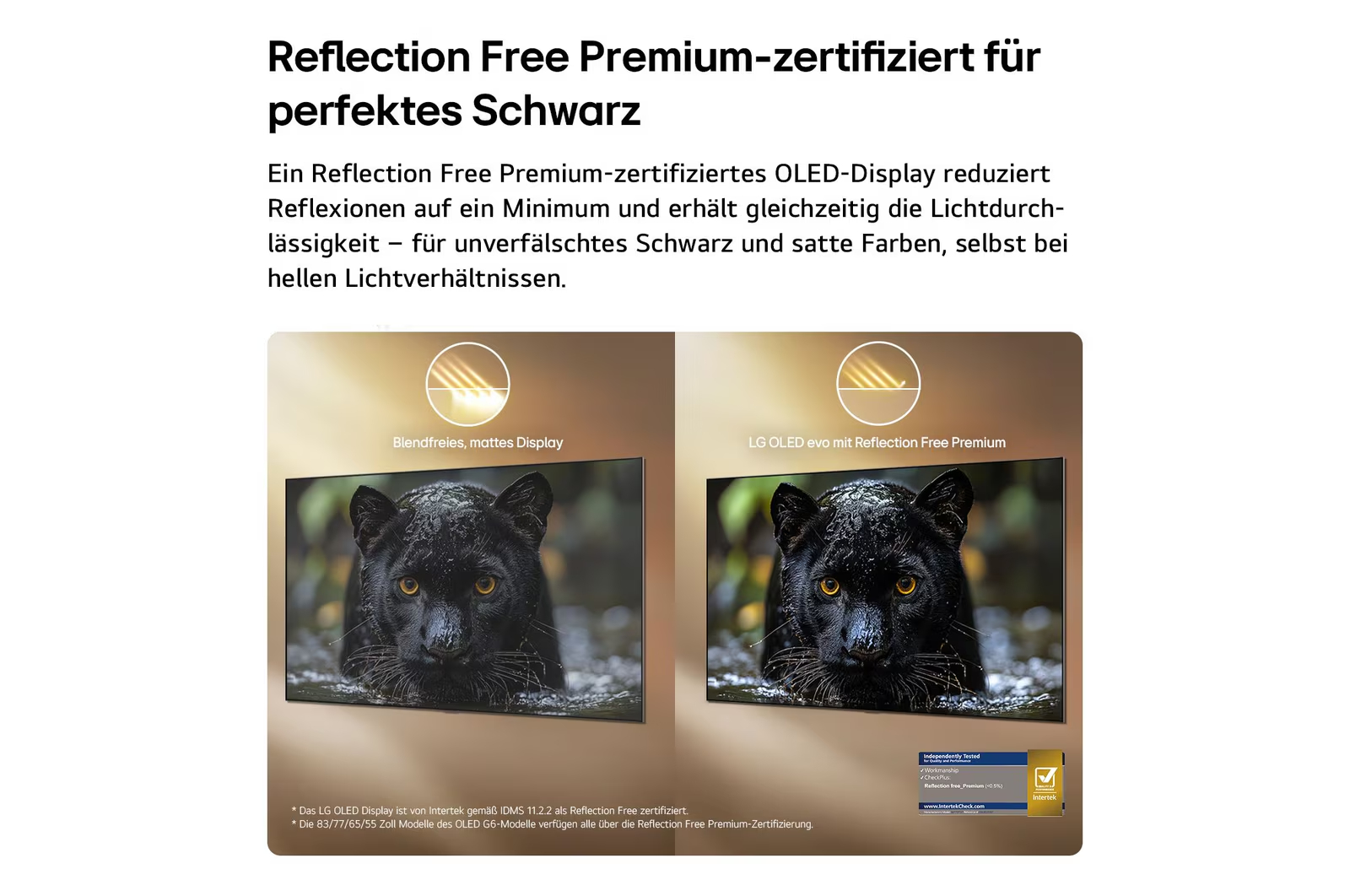 Zwei LG OLED-Displays mit schwarzem Panther: eines matt, eines mit Reflection Free Premium.