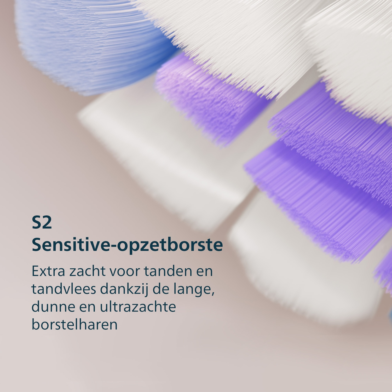 Close-up van tandenborstelkoppen met blauwe, paarse en witte borstelharen.
