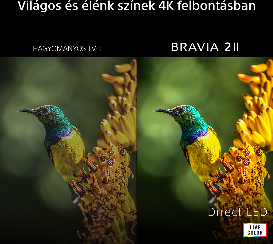 Sárga és zöld tollazatú madár ül egy sárga virágon.