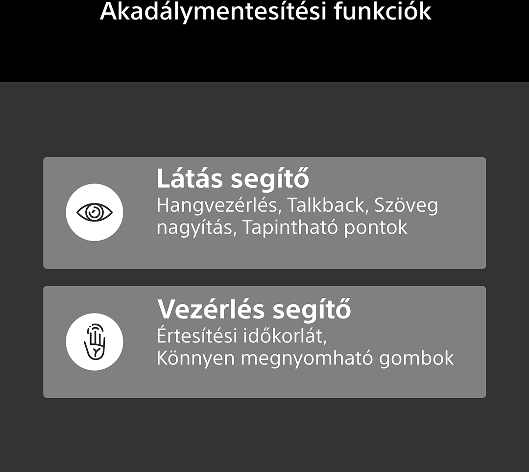 Akadálymentesítési funkciók: Látás segítő, Vezérlés segítő.