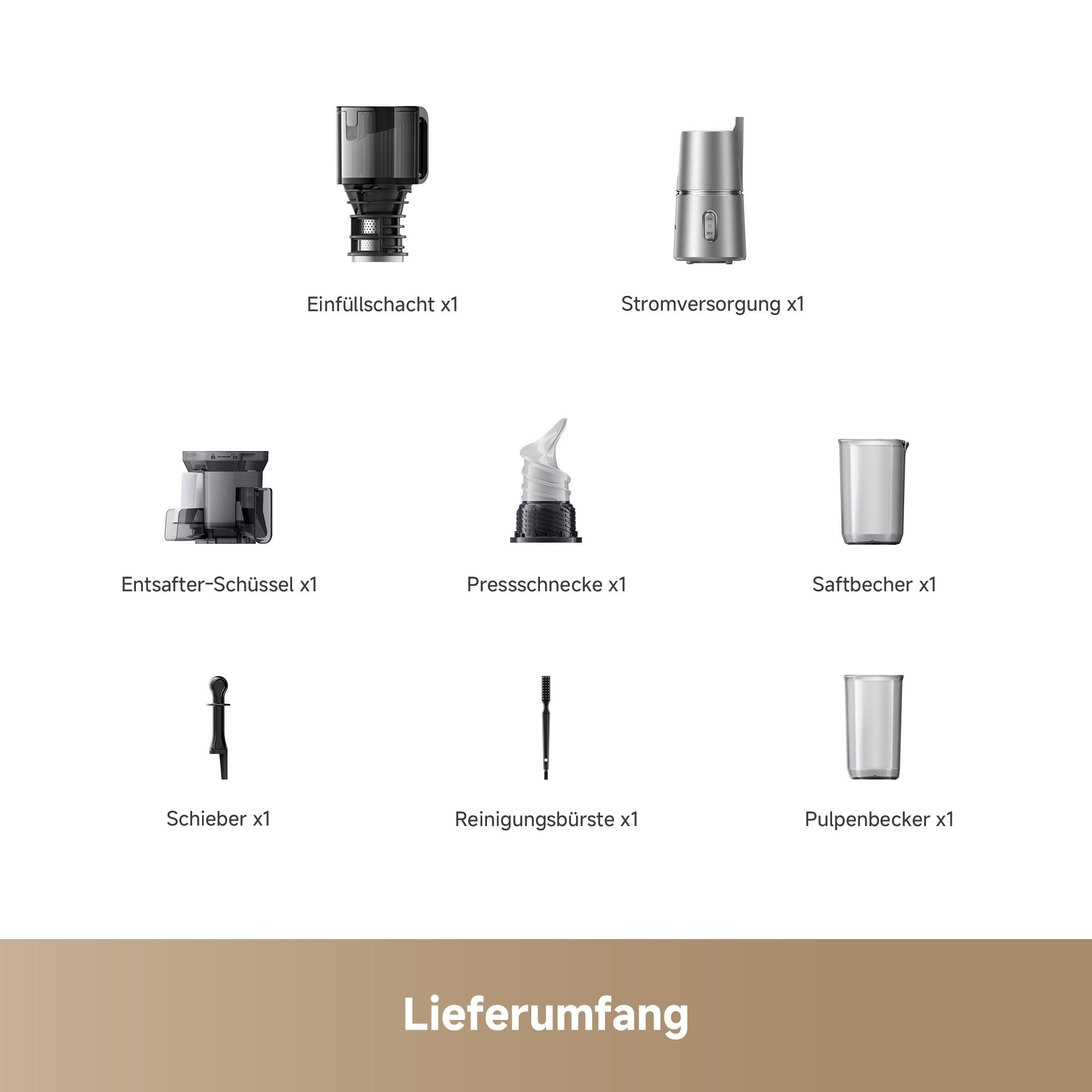 Teile eines Entsafters: Einfüllschacht, Stromversorgung, Schüssel, Schnecke, Becher und Bürste.