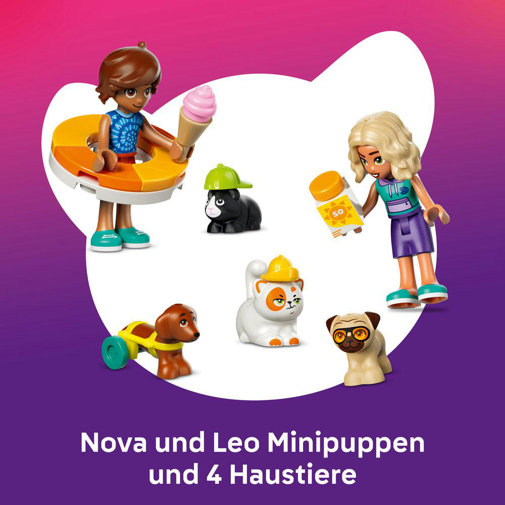 Zwei Minipuppen mit Eis und Sonnencreme, umgeben von vier Haustieren.