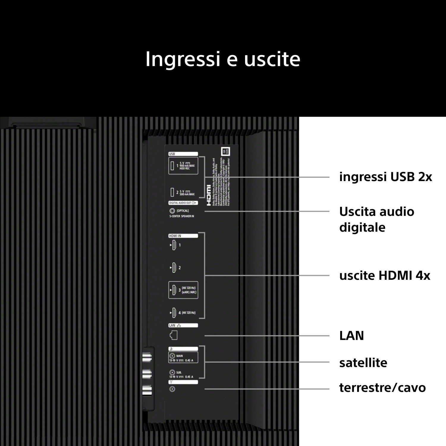 Pannello posteriore TV con ingressi: 2 USB, uscita audio digitale, 4 HDMI, LAN, satellite, terrestre/cavo.