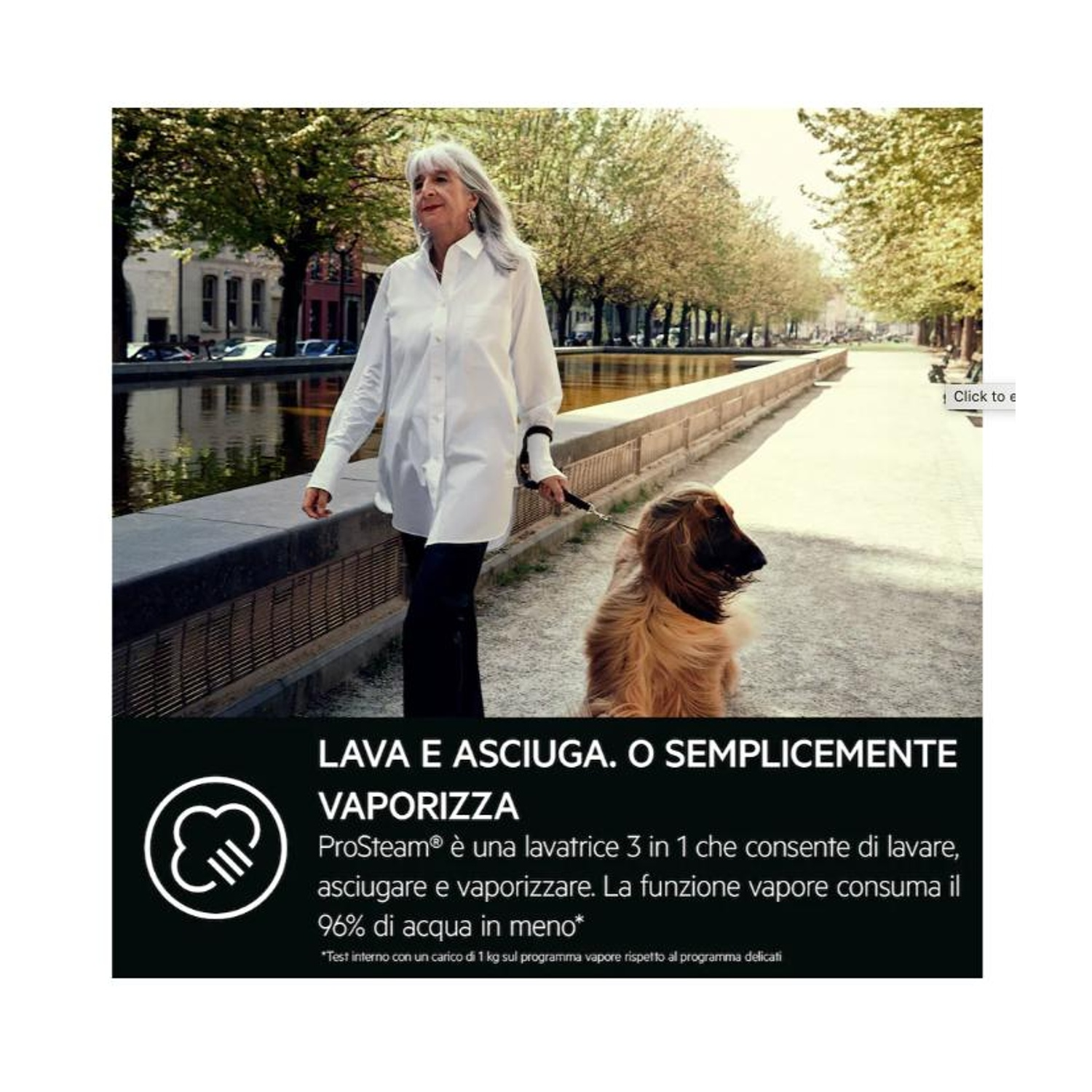 Una donna con lunghi capelli grigi porta a spasso un cane al guinzaglio lungo un canale.