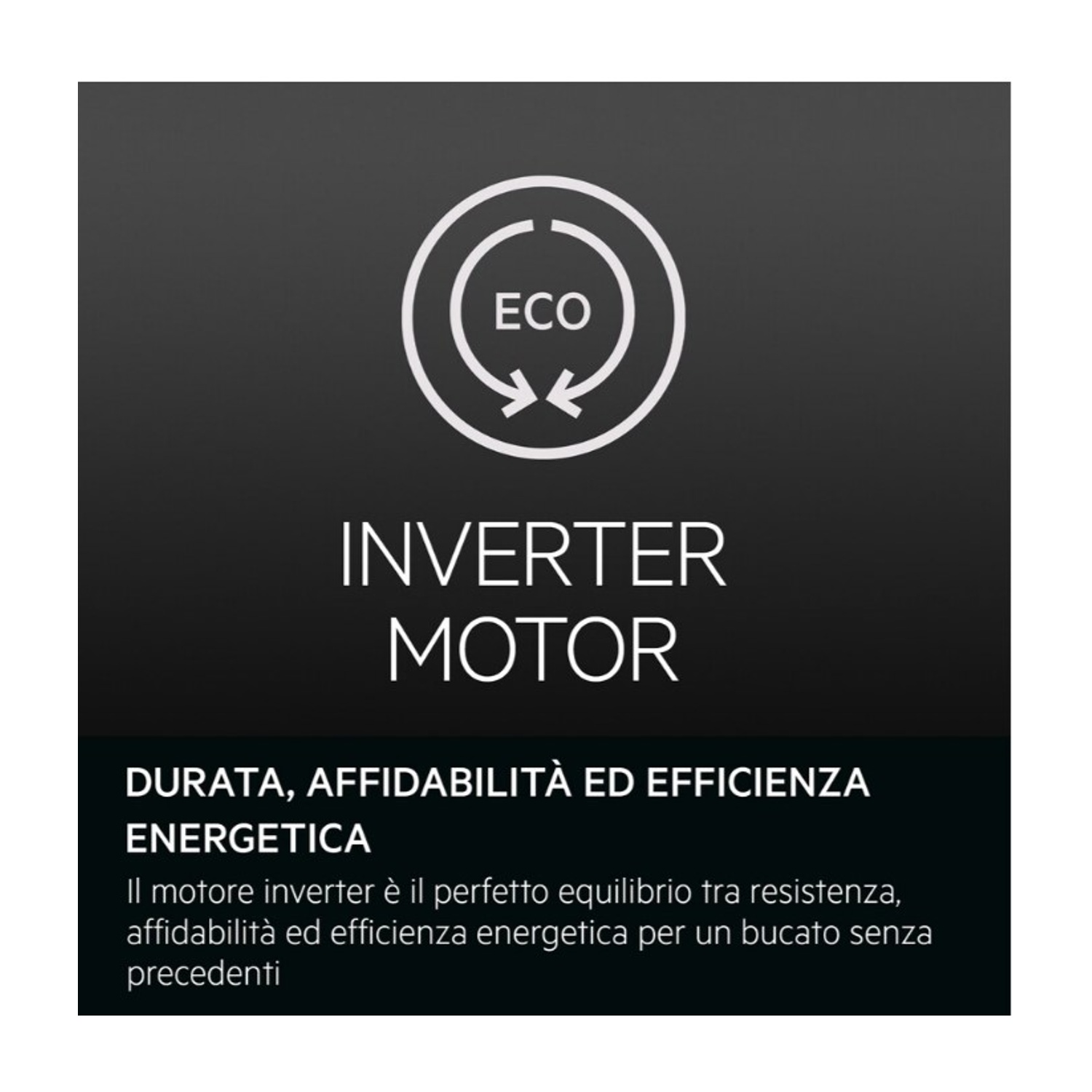 Simbolo ECO con frecce, sotto INVERTER MOTOR e testo in italiano.