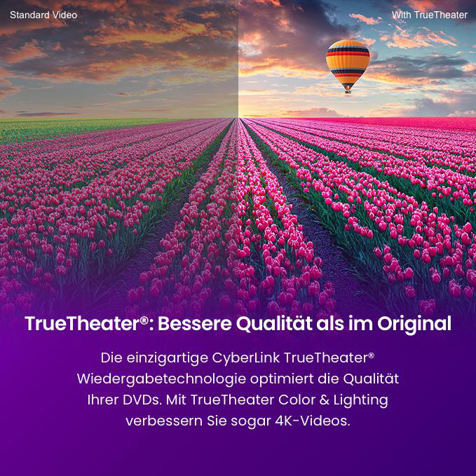 Feld mit rosa Tulpen, ein Heißluftballon fliegt am Himmel.