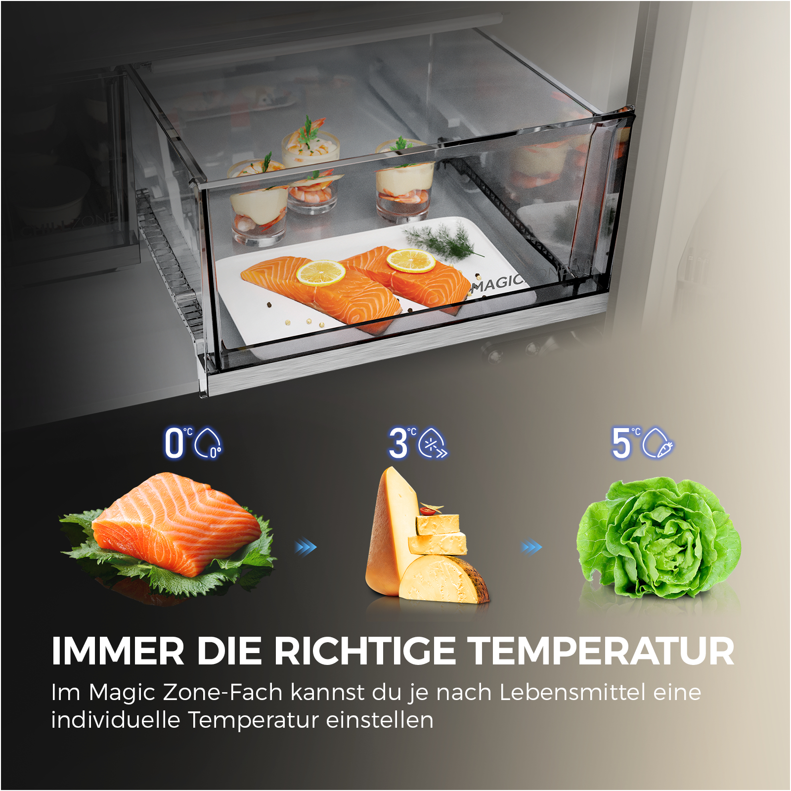Ein Fach mit Lachs, Käse und Salat bei verschiedenen Temperaturen.