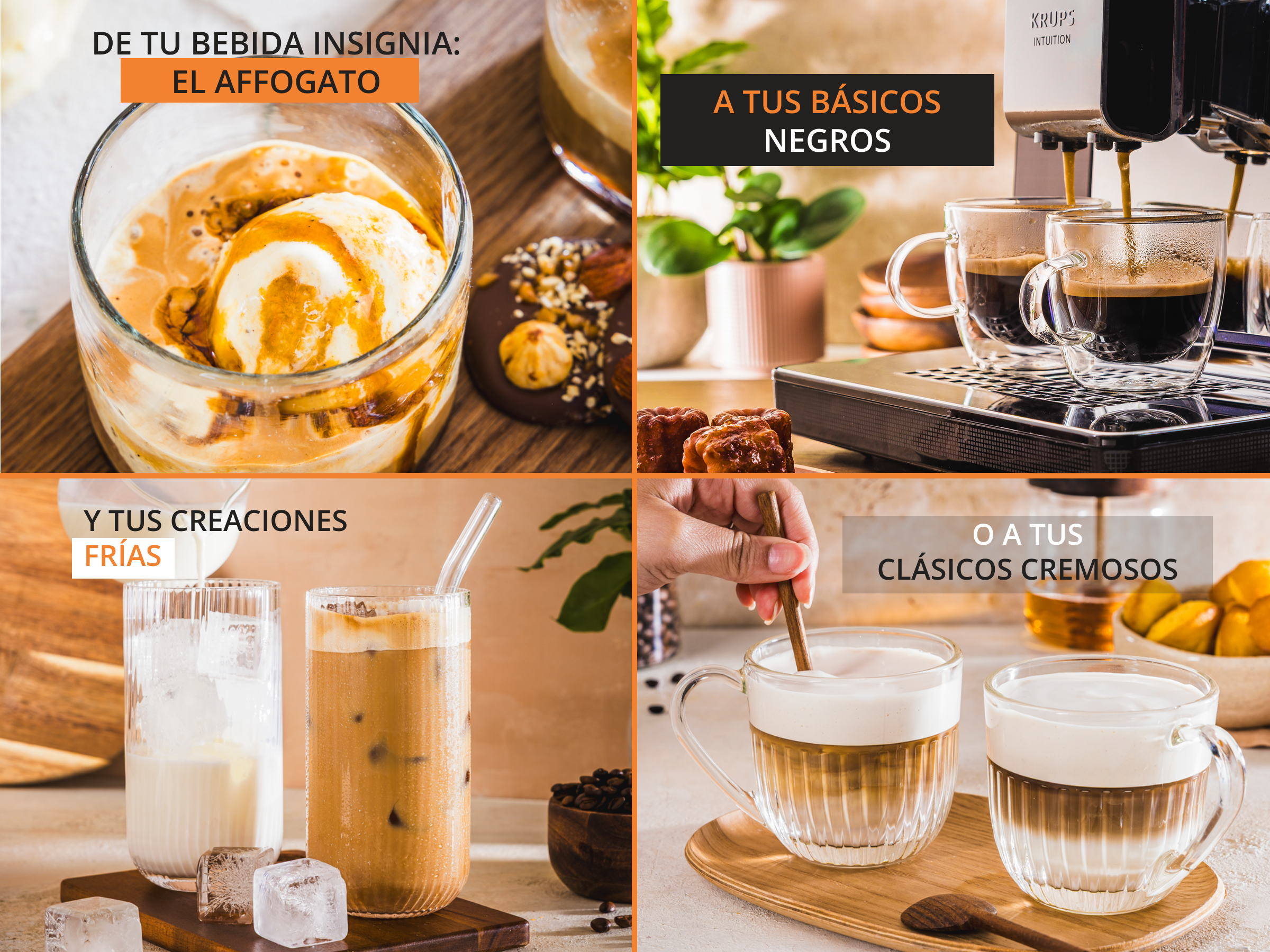 Cuatro bebidas de café: Affogato, espresso, café helado y un latte cremoso.