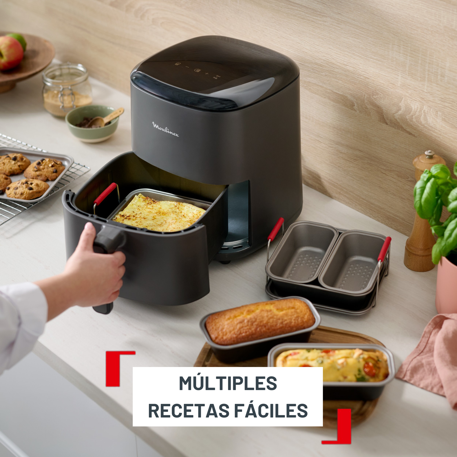 Multiples recetas fáciles.