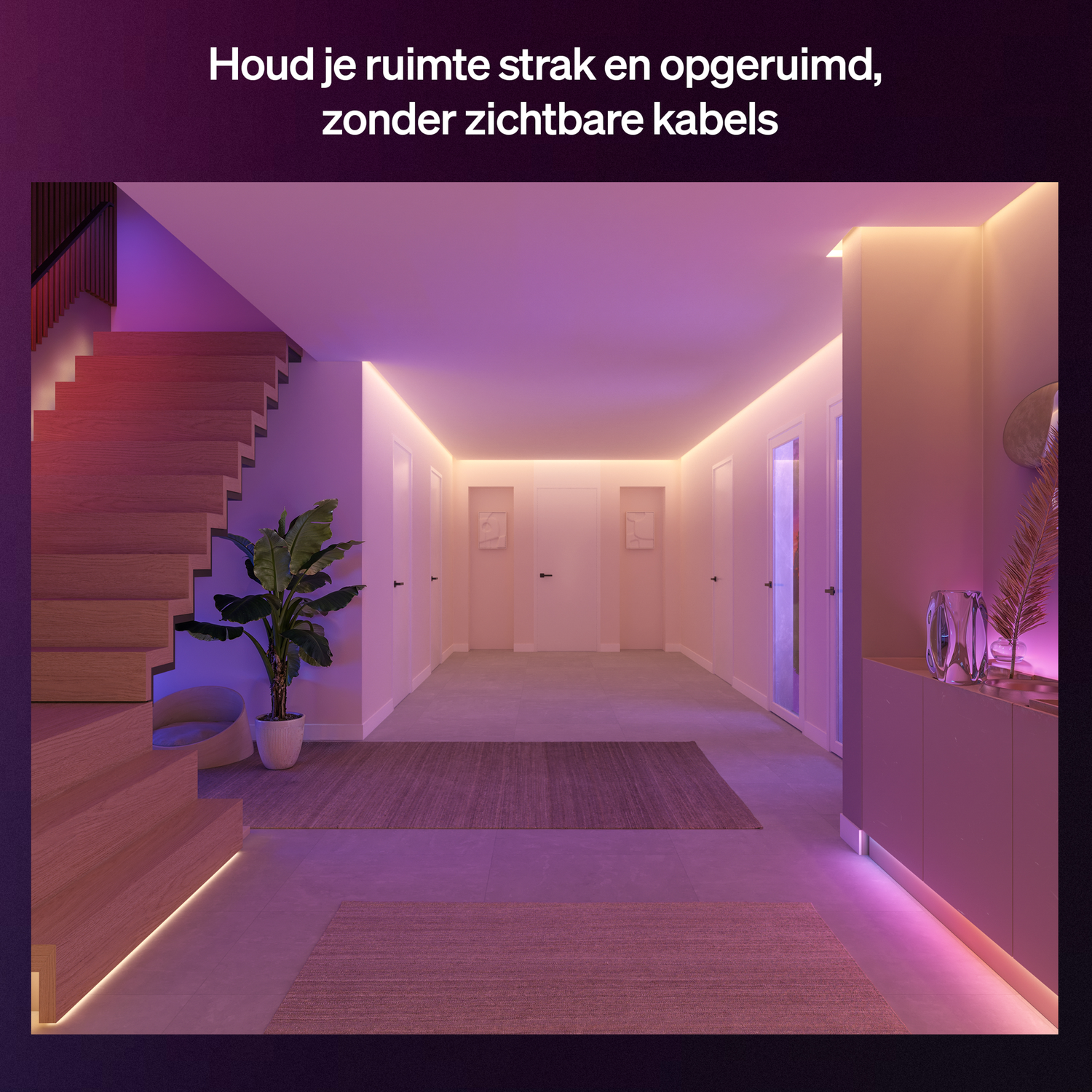 Een hal met een houten trap, vloerkleden en sfeervolle paarse en roze verlichting.