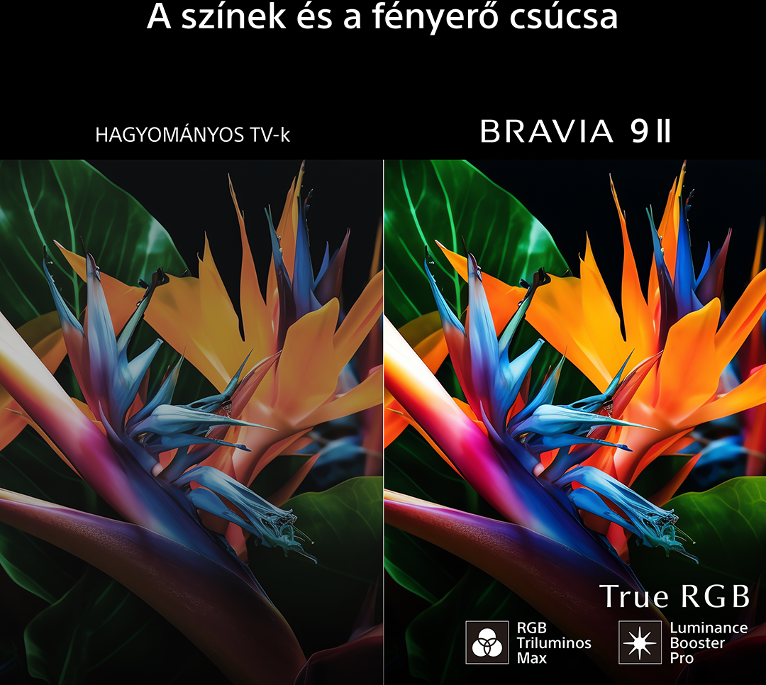Madárvirágok összehasonlítása: Bal oldalon hagyományos TV, jobb oldalon BRAVIA 9 II.