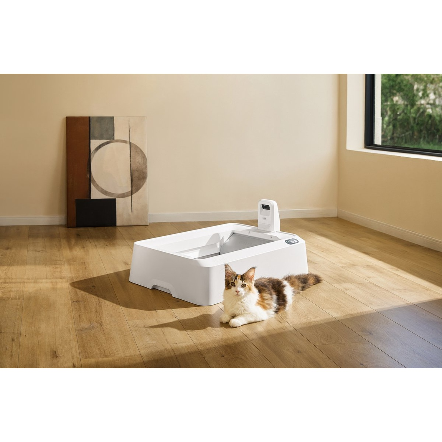 A cat lies next to a self-cleaning litter box on a wooden floor.
