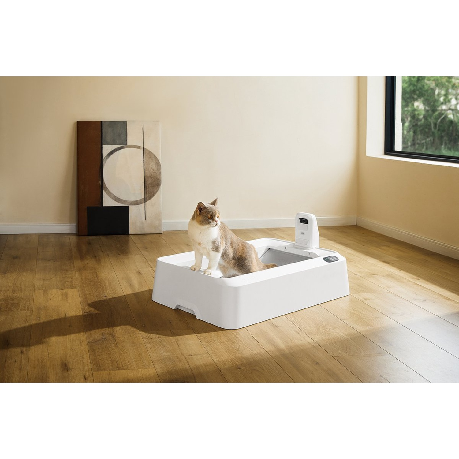 A cat sits in a white litter box on a wooden floor.