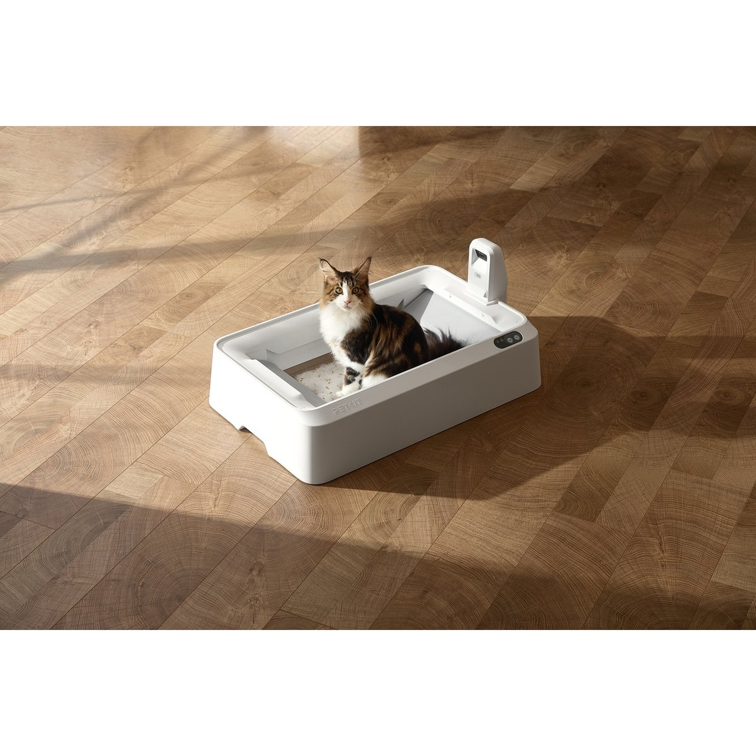 A tabby cat sits in a white automatic litter box on a wooden floor.