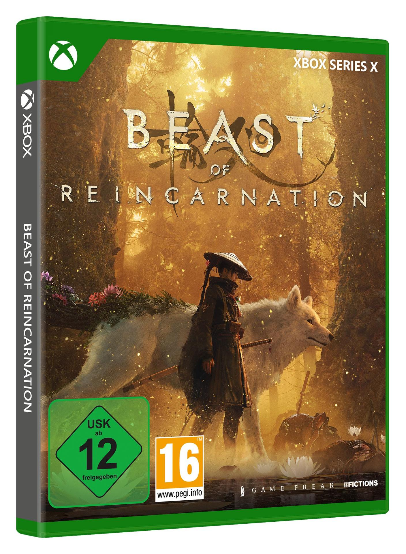 Ein Mädchen mit Hut und ein weißer Wolf stehen in einem nebligen Wald. Spielhülle.