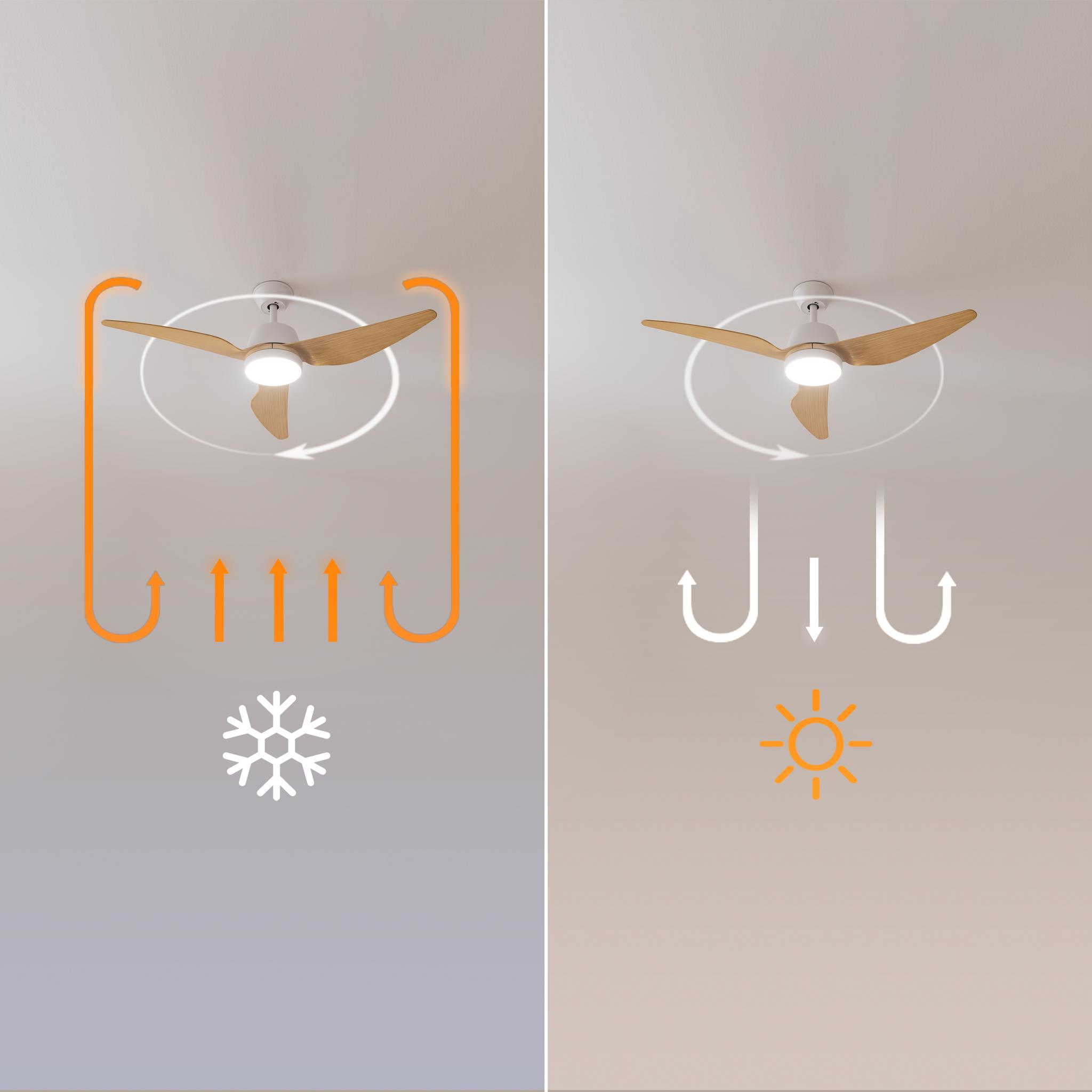 Ventilador de techo con luz muestra circulación de aire frío y cálido.